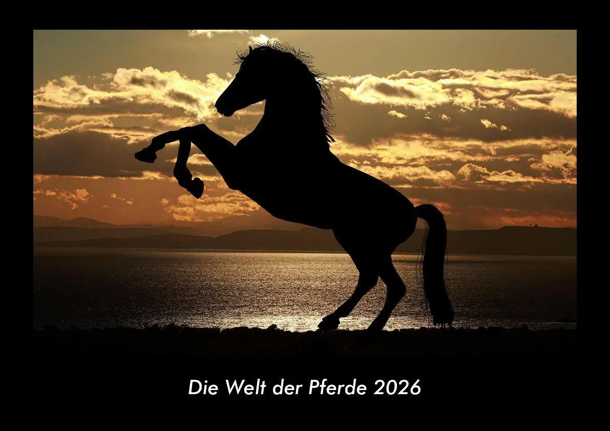 Cover: 9783695416356 | Die Welt der Pferde 2026 Fotokalender DIN A3 | Tobias Becker | Deutsch