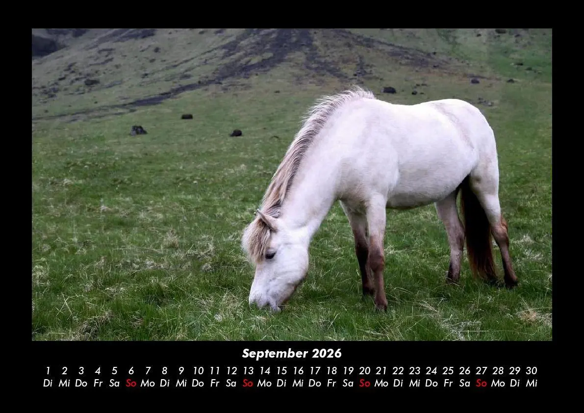 Bild: 9783695416356 | Die Welt der Pferde 2026 Fotokalender DIN A3 | Tobias Becker | Deutsch