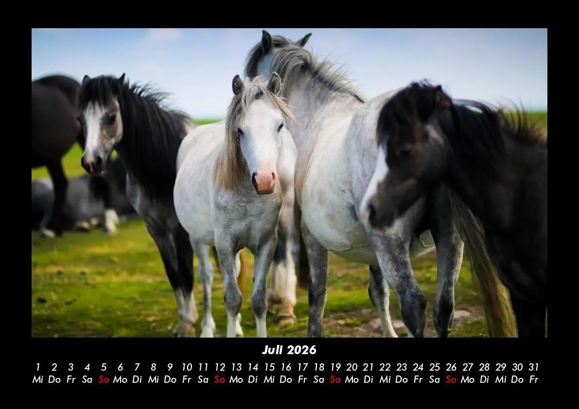 Bild: 9783695416356 | Die Welt der Pferde 2026 Fotokalender DIN A3 | Tobias Becker | Deutsch