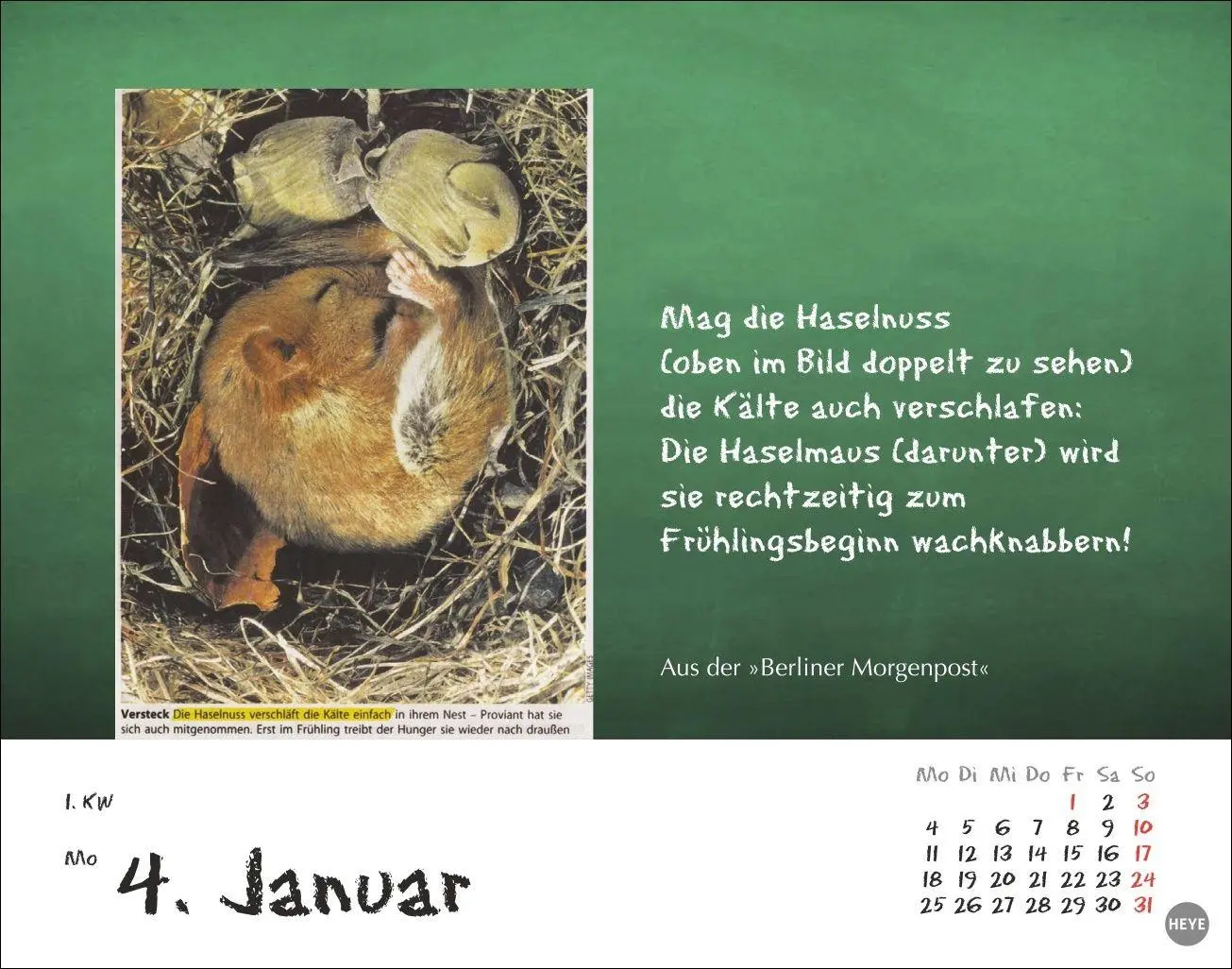 Bild: 9783756416356 | Bastian Sick Tagesabreißkalender 2027 | Bastian Sick | Kalender | 2027