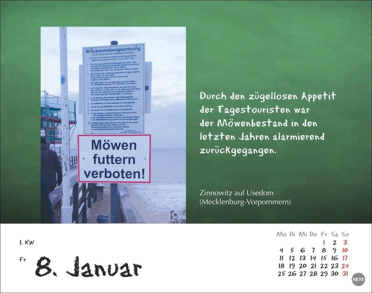 Bild: 9783756416356 | Bastian Sick Tagesabreißkalender 2027 | Bastian Sick | Kalender | 2027