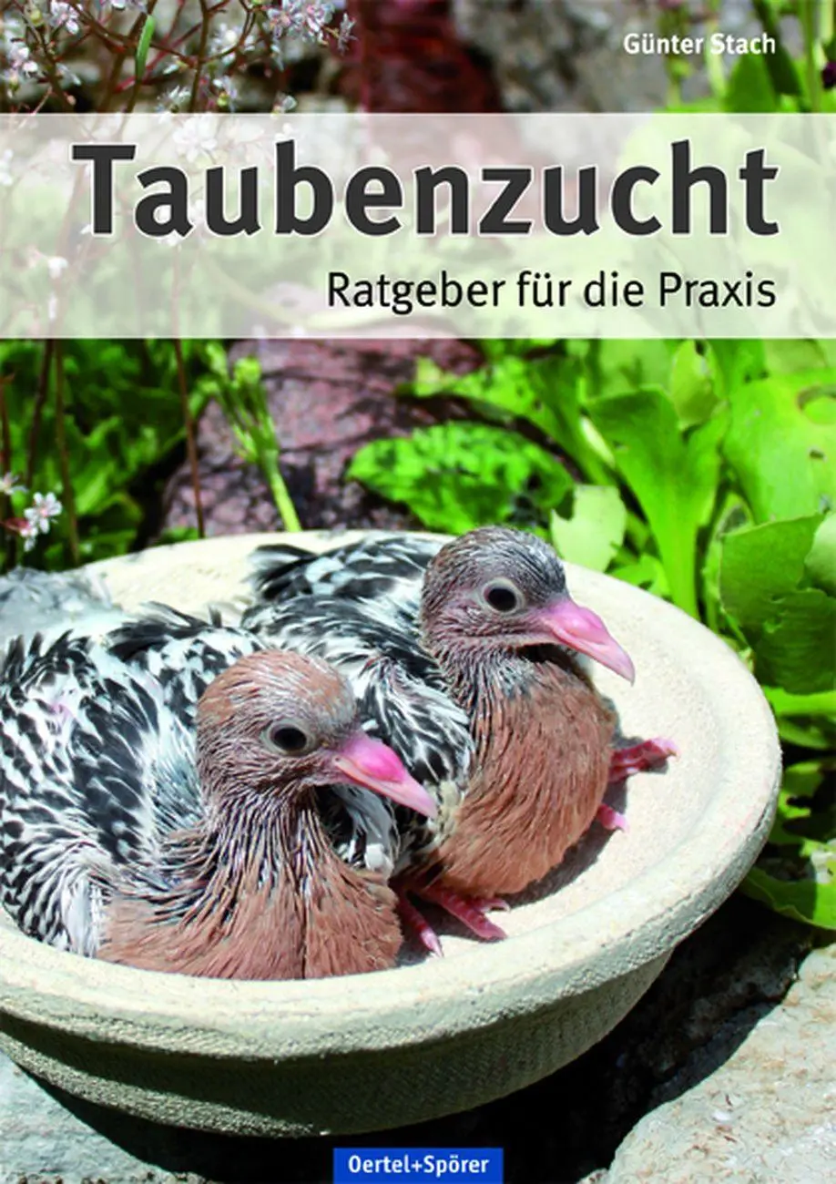 Cover: 9783886276356 | Taubenzucht | Ratgeber für die Praxis | Günter Stach | Buch | 224 S.
