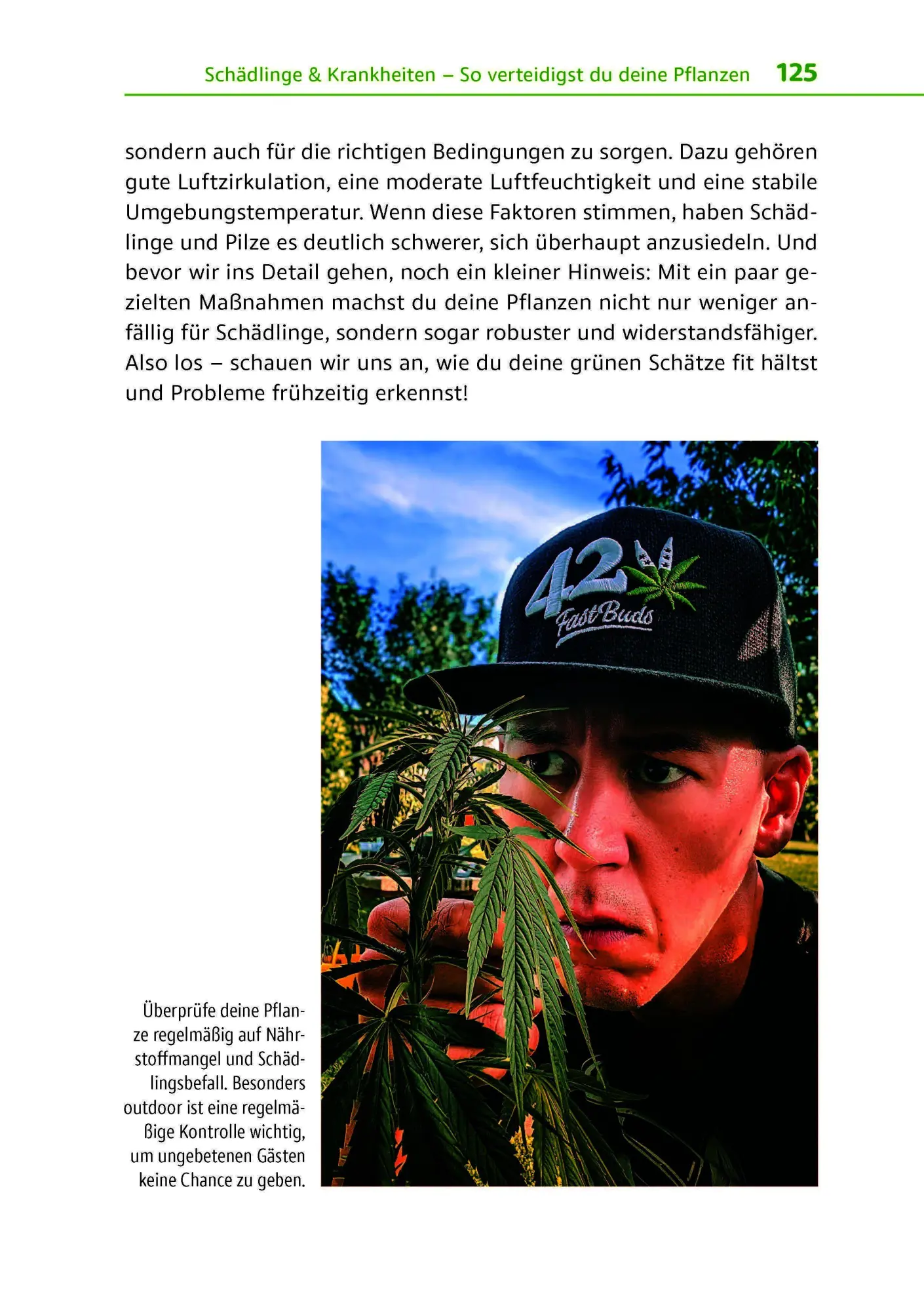 Bild: 9783969676356 | Cannabis zu Hause anbauen für Anfänger | Stefan Fischer | Taschenbuch