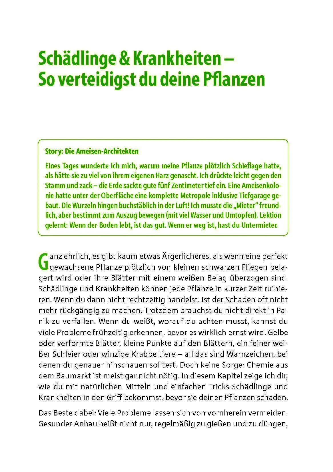 Bild: 9783969676356 | Cannabis zu Hause anbauen für Anfänger | Stefan Fischer | Taschenbuch