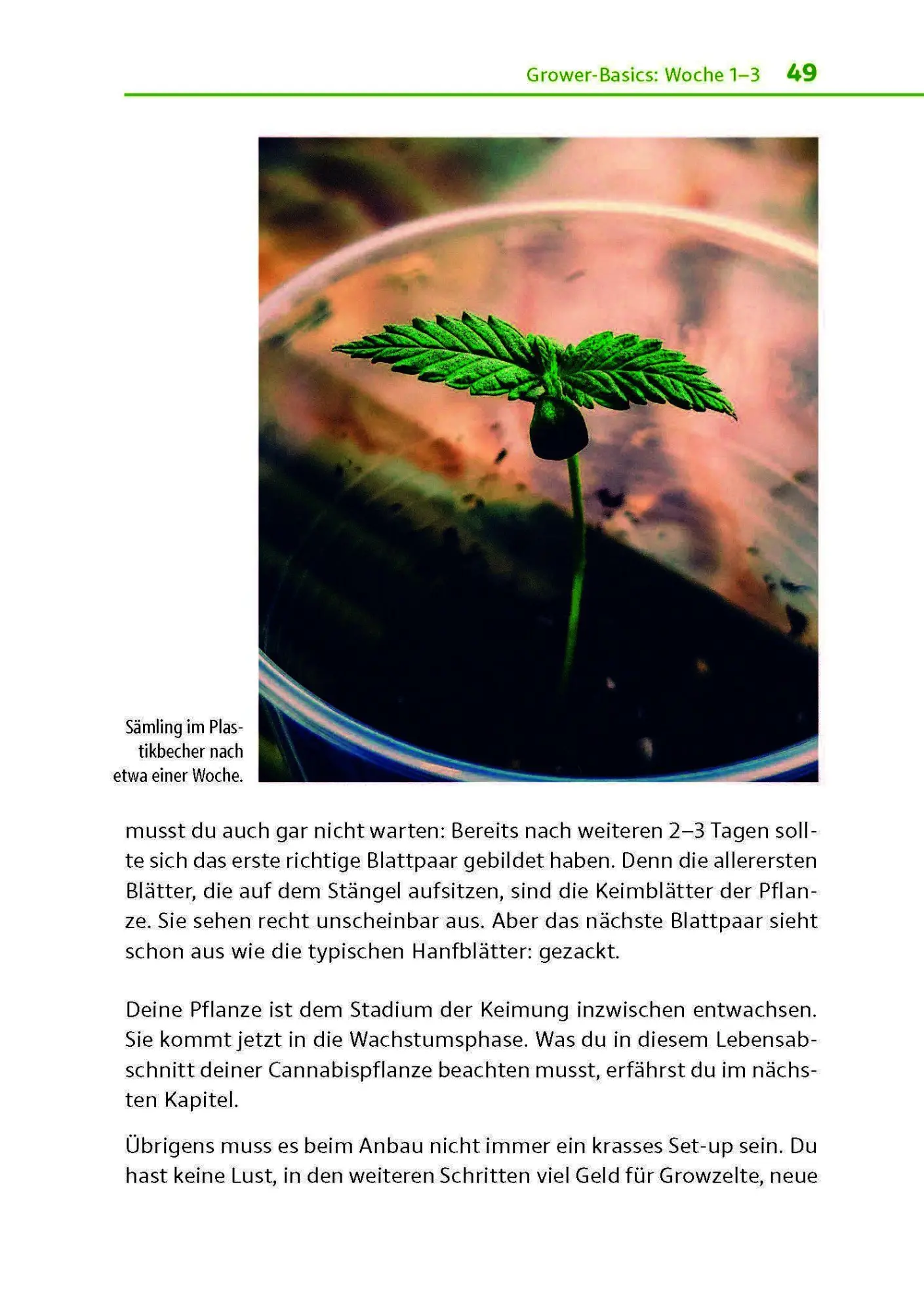 Bild: 9783969676356 | Cannabis zu Hause anbauen für Anfänger | Stefan Fischer | Taschenbuch