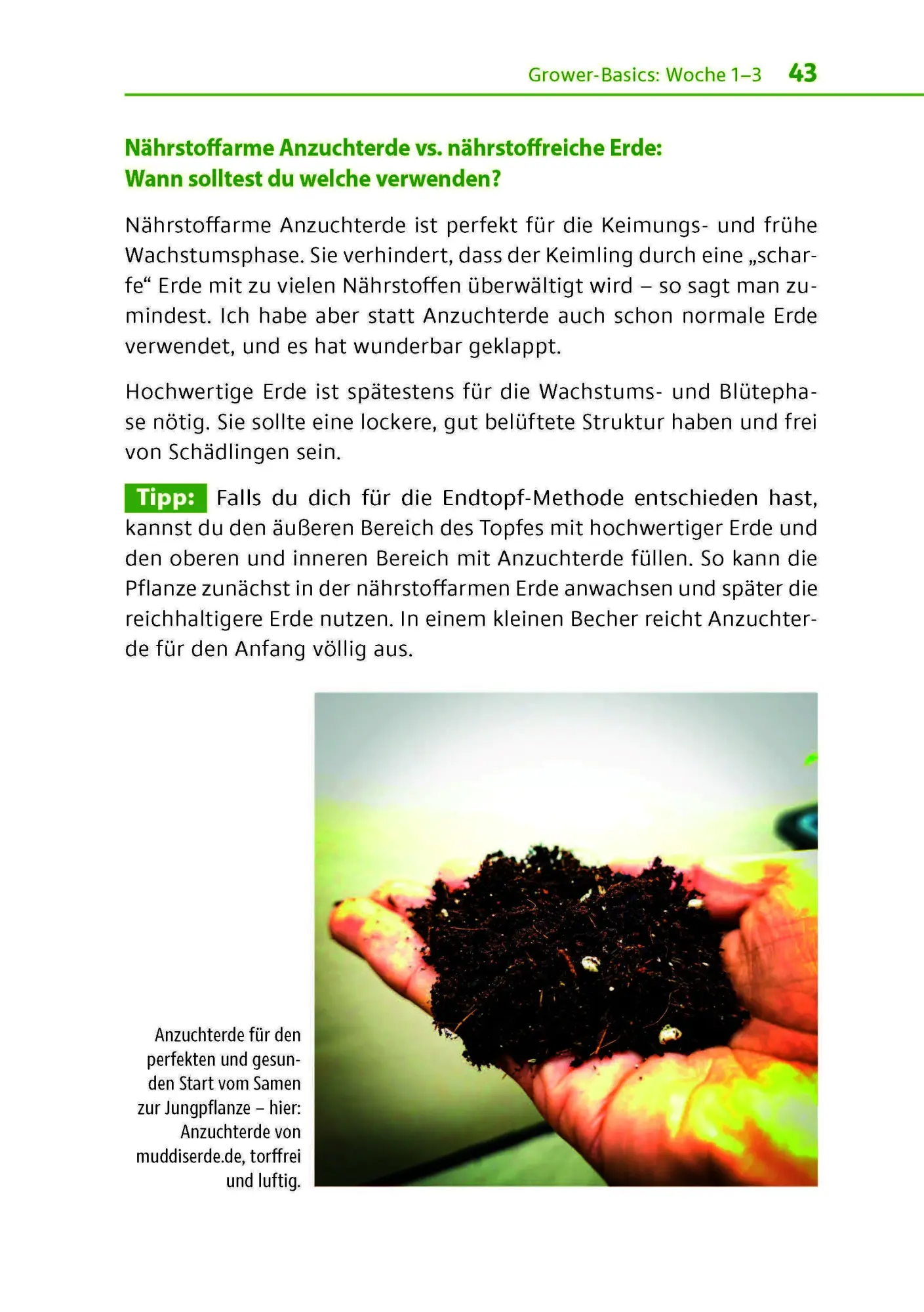 Bild: 9783969676356 | Cannabis zu Hause anbauen für Anfänger | Stefan Fischer | Taschenbuch