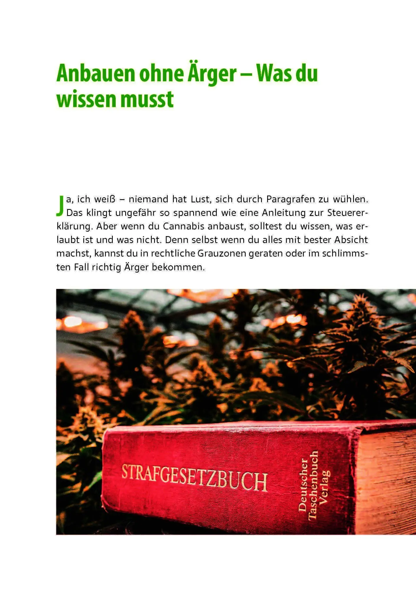 Bild: 9783969676356 | Cannabis zu Hause anbauen für Anfänger | Stefan Fischer | Taschenbuch
