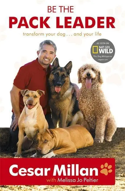 Cover: 9780340976456 | Be the Pack Leader | Cesar Millan | Taschenbuch | 316 S. | Englisch