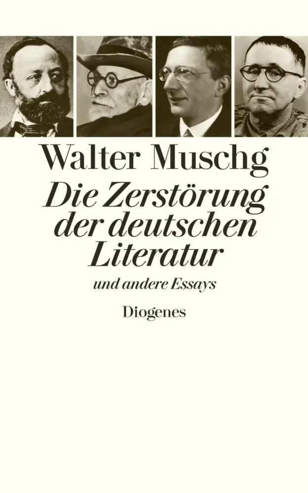 Cover: 9783257066456 | Die Zerstörung der deutschen Literatur | und andere Essays | Muschg