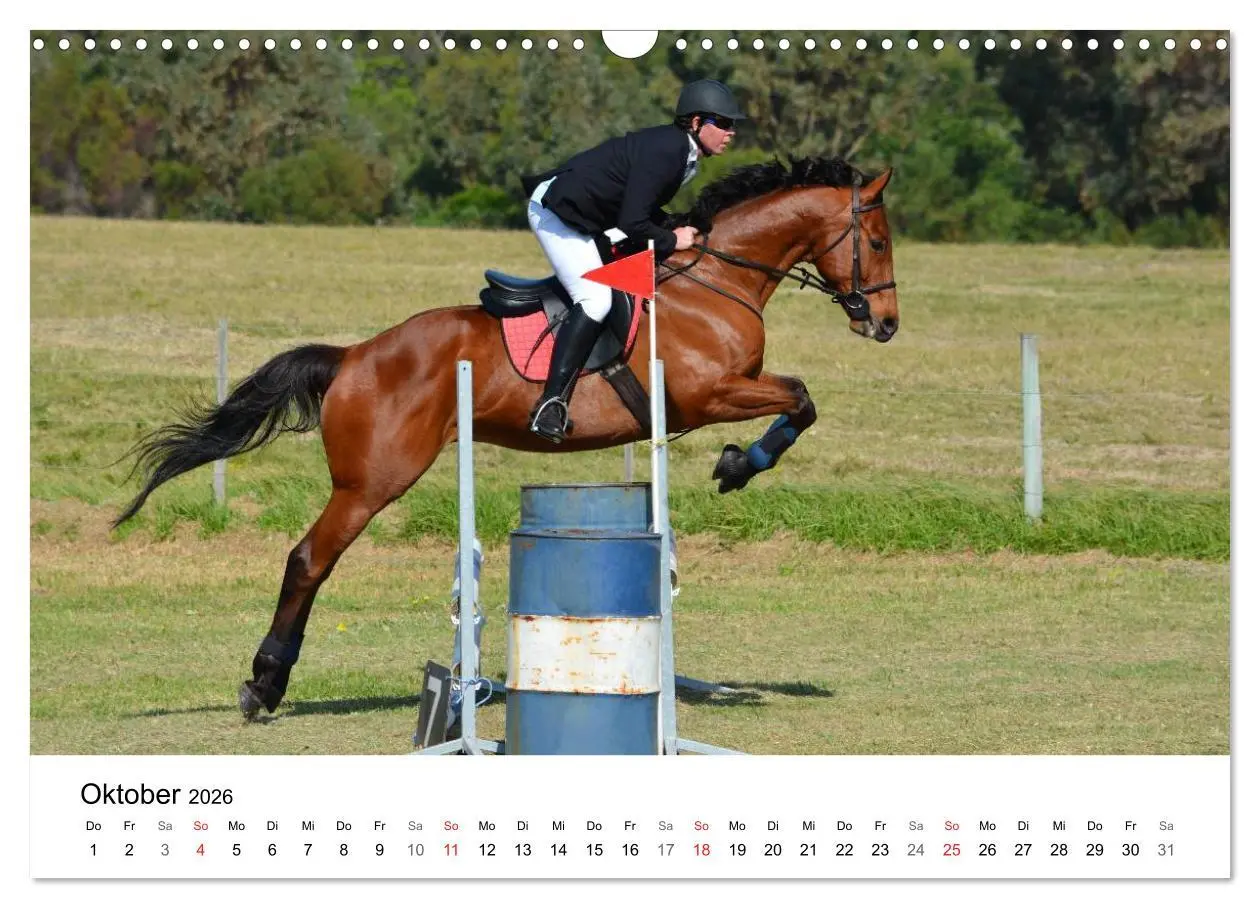 Bild: 9783516066456 | Eventing - Der ultimative Reitsport (Wandkalender 2026 DIN A3...