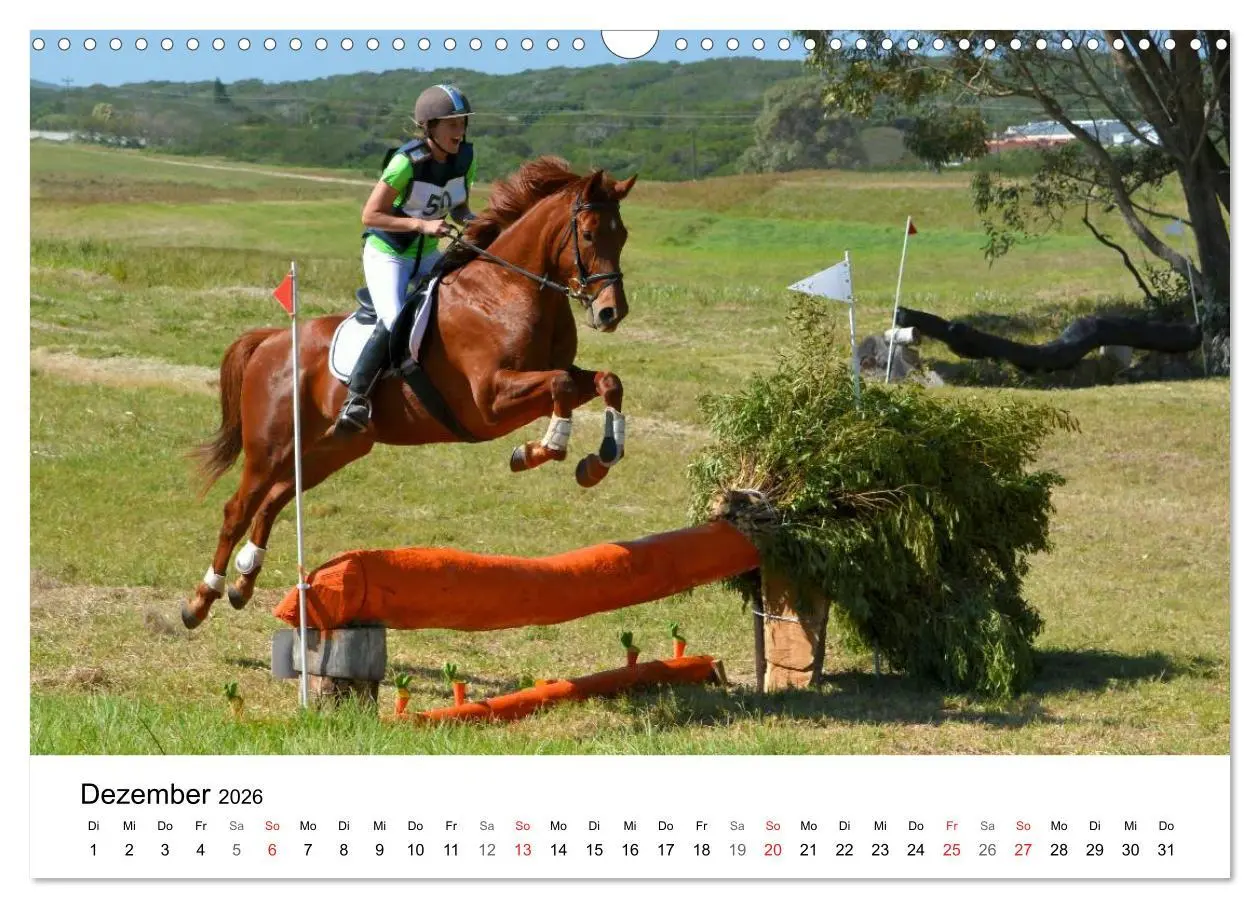 Bild: 9783516066456 | Eventing - Der ultimative Reitsport (Wandkalender 2026 DIN A3...