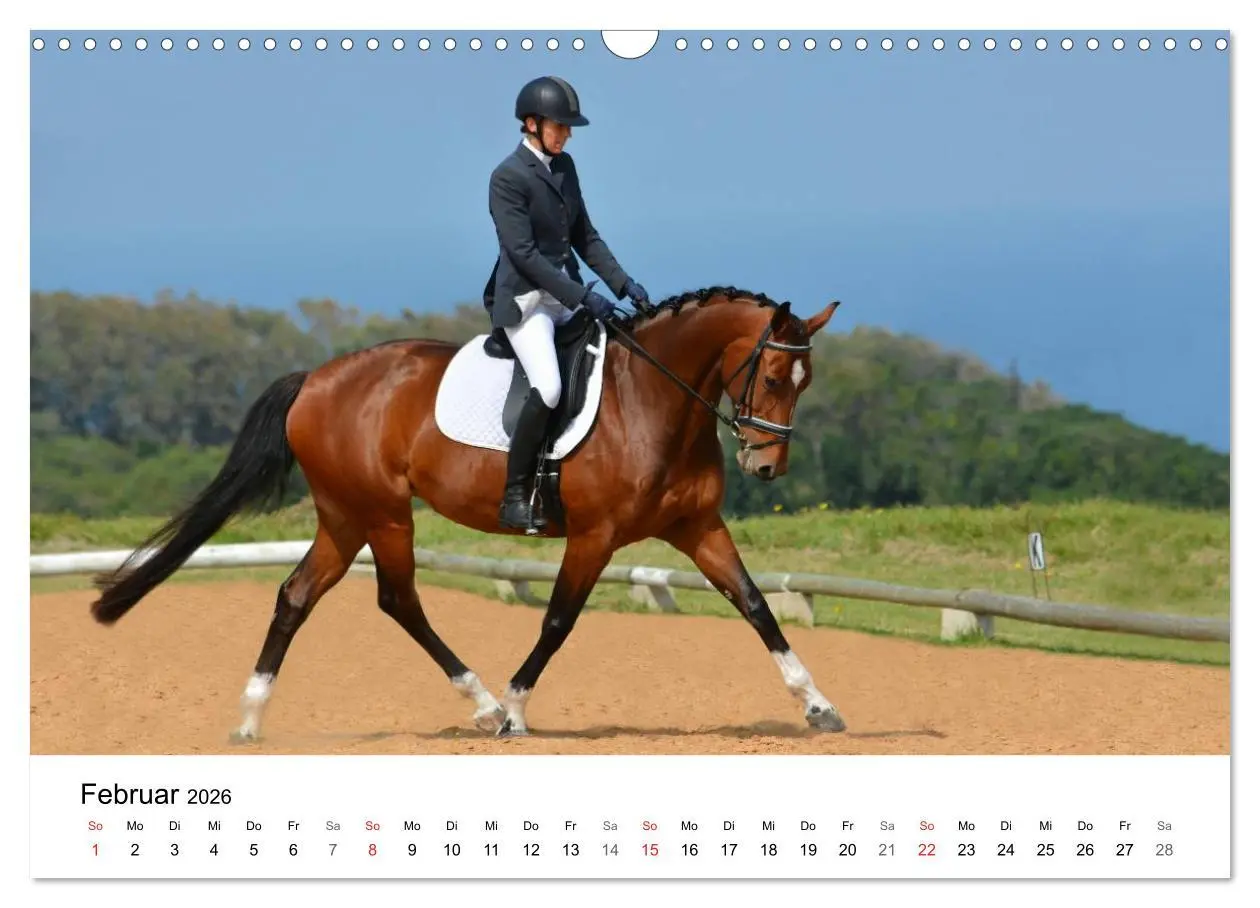 Bild: 9783516066456 | Eventing - Der ultimative Reitsport (Wandkalender 2026 DIN A3...
