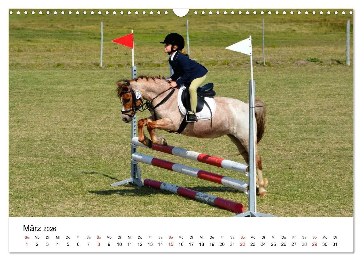 Bild: 9783516066456 | Eventing - Der ultimative Reitsport (Wandkalender 2026 DIN A3...
