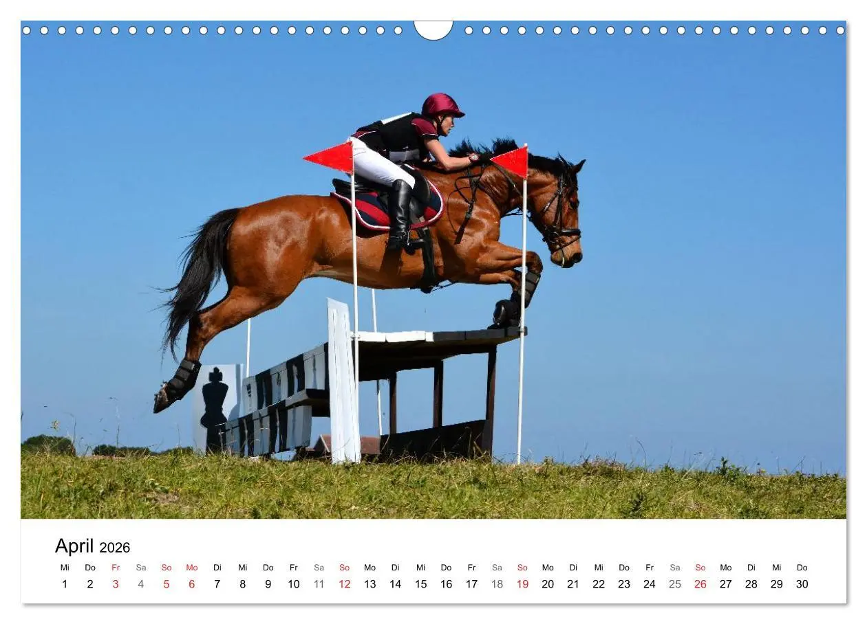 Bild: 9783516066456 | Eventing - Der ultimative Reitsport (Wandkalender 2026 DIN A3...