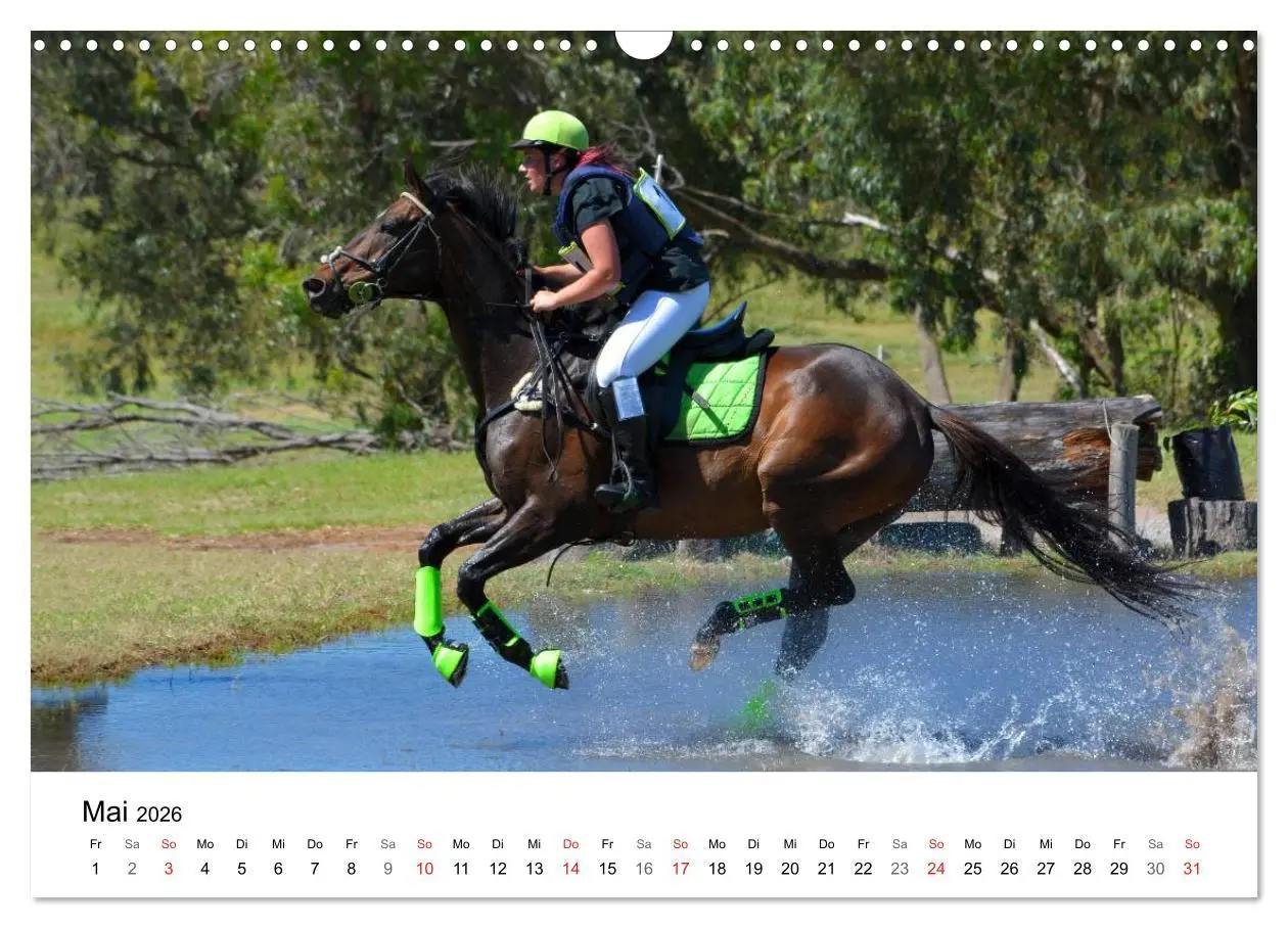 Bild: 9783516066456 | Eventing - Der ultimative Reitsport (Wandkalender 2026 DIN A3...