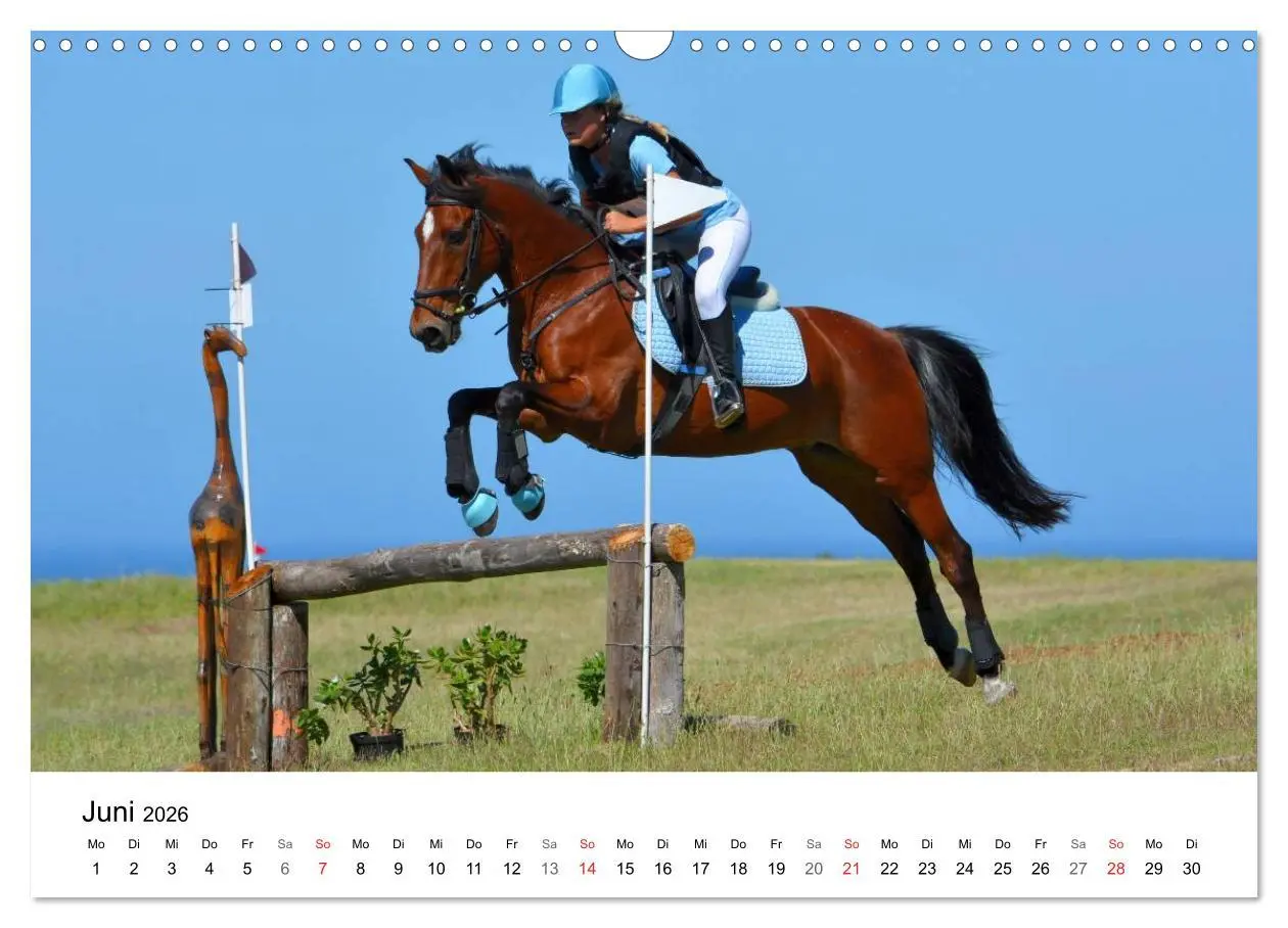 Bild: 9783516066456 | Eventing - Der ultimative Reitsport (Wandkalender 2026 DIN A3...