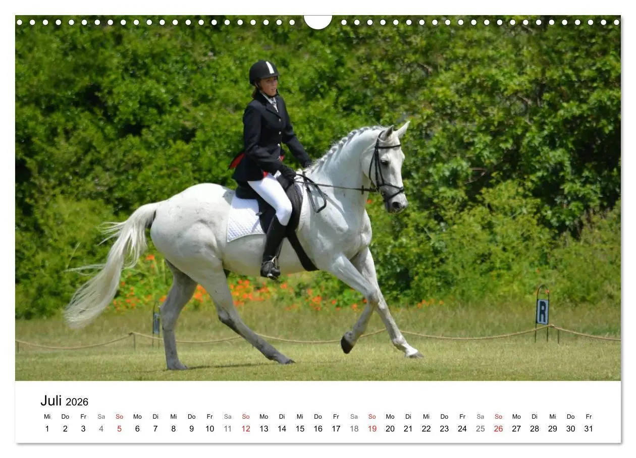 Bild: 9783516066456 | Eventing - Der ultimative Reitsport (Wandkalender 2026 DIN A3...