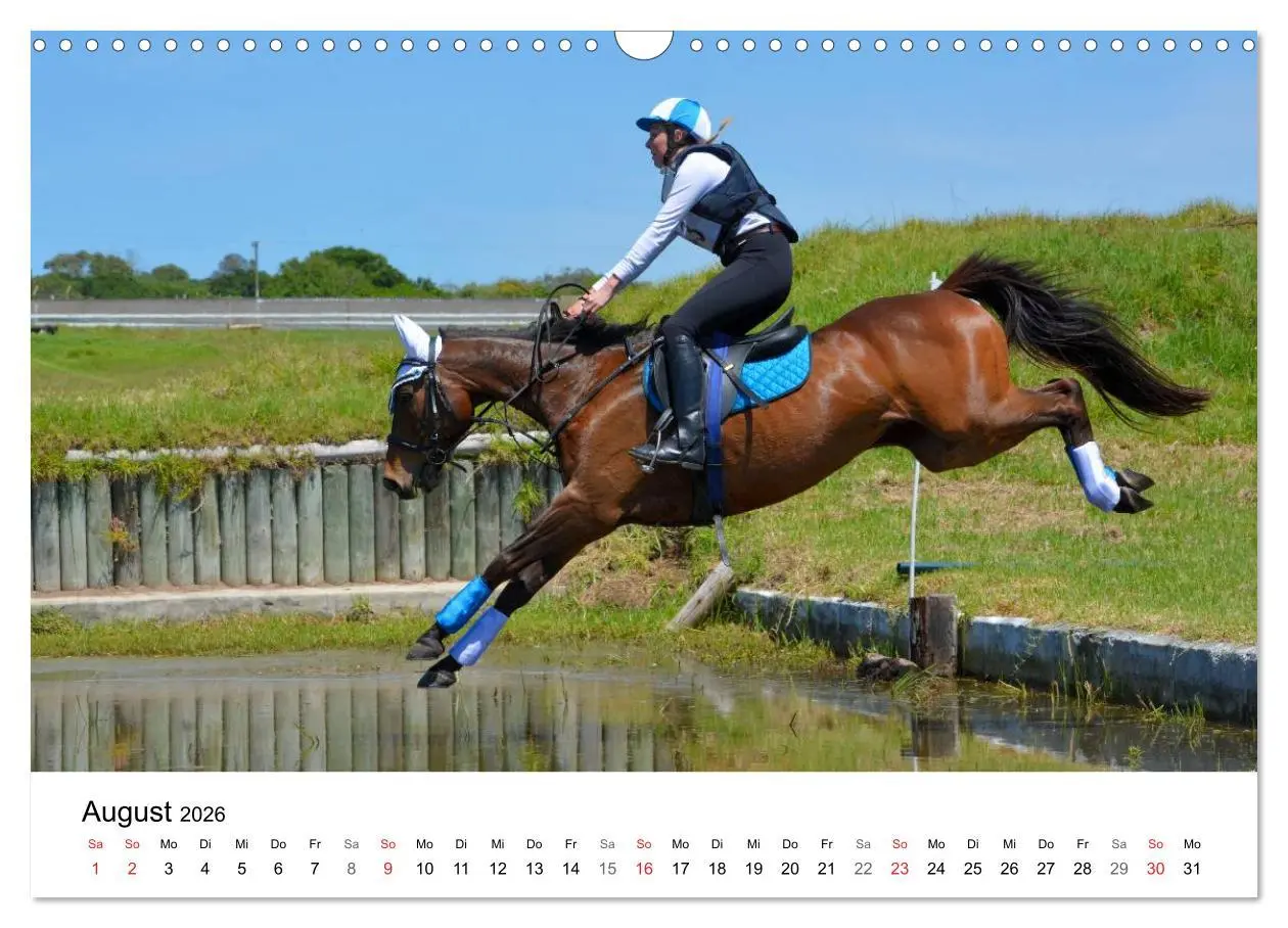 Bild: 9783516066456 | Eventing - Der ultimative Reitsport (Wandkalender 2026 DIN A3...