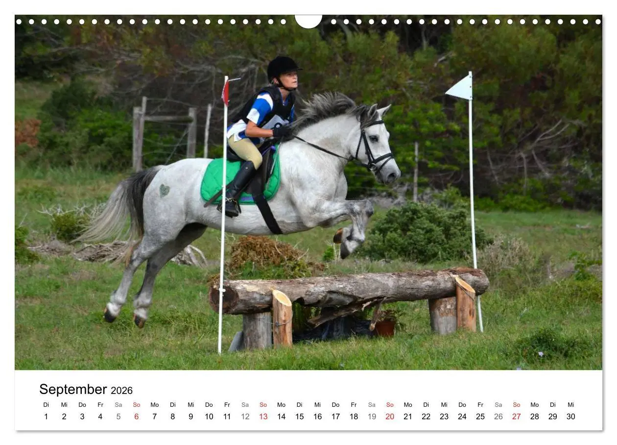 Bild: 9783516066456 | Eventing - Der ultimative Reitsport (Wandkalender 2026 DIN A3...
