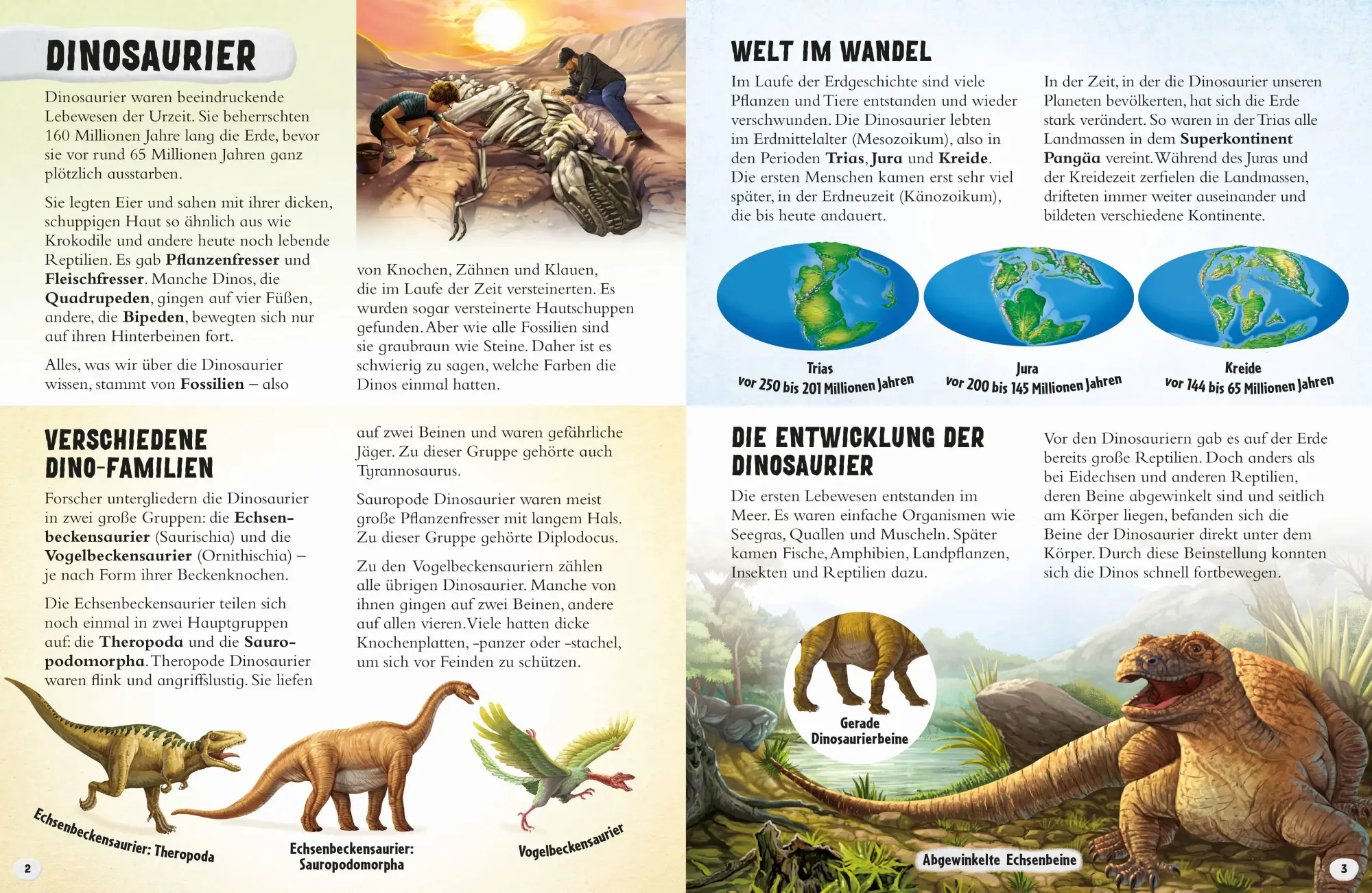 Bild: 9783833246456 | Glow-in-the-Dark Dinosaurier: Mein großer Stickeratlas | Stefanovic
