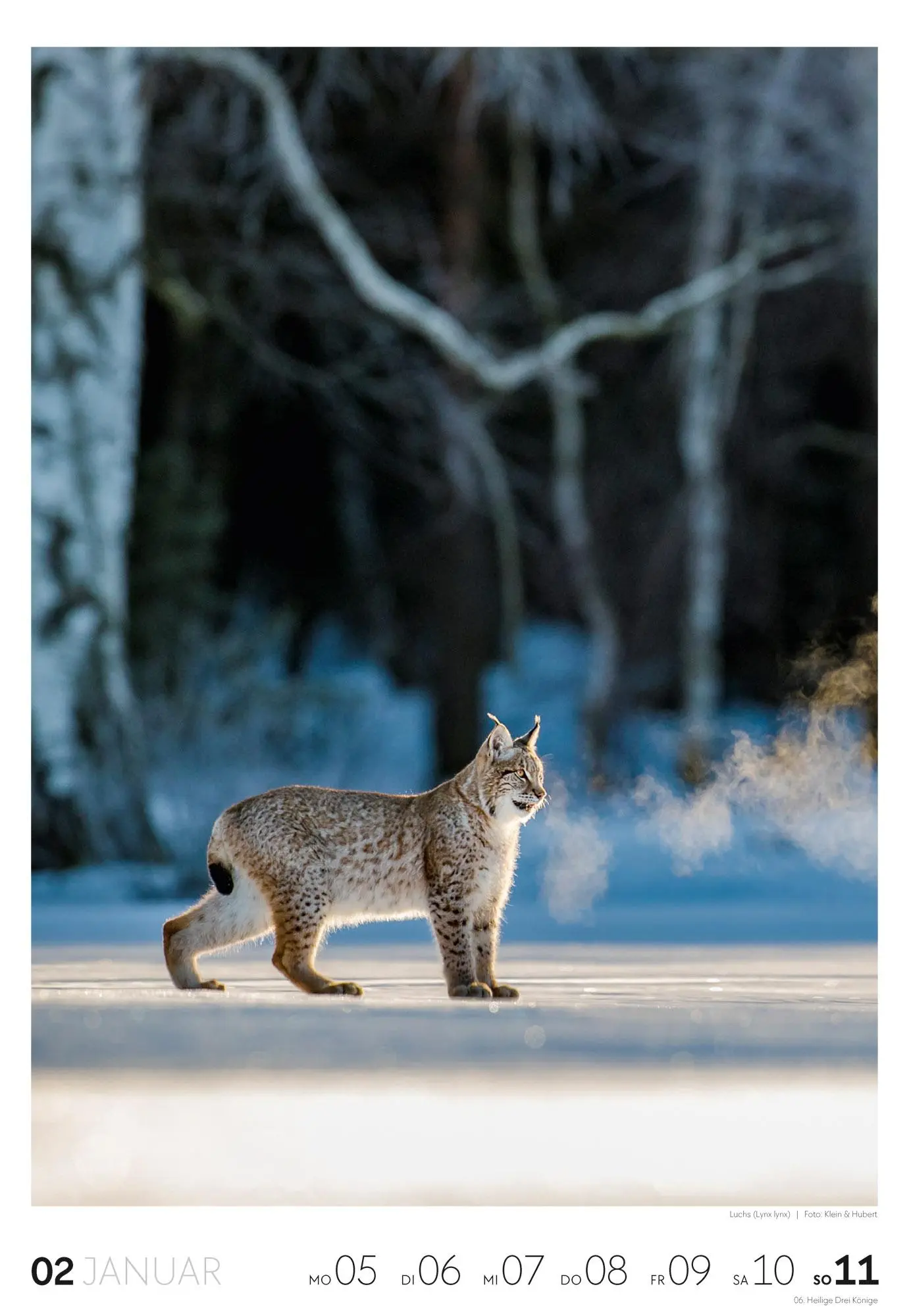 Bild: 9783838436456 | Natur Wochenkalender 2026 | Ackermann Kunstverlag GmbH | Kalender