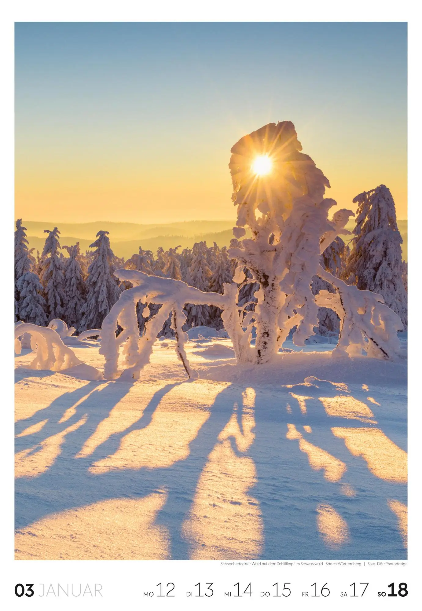 Bild: 9783838436456 | Natur Wochenkalender 2026 | Ackermann Kunstverlag GmbH | Kalender