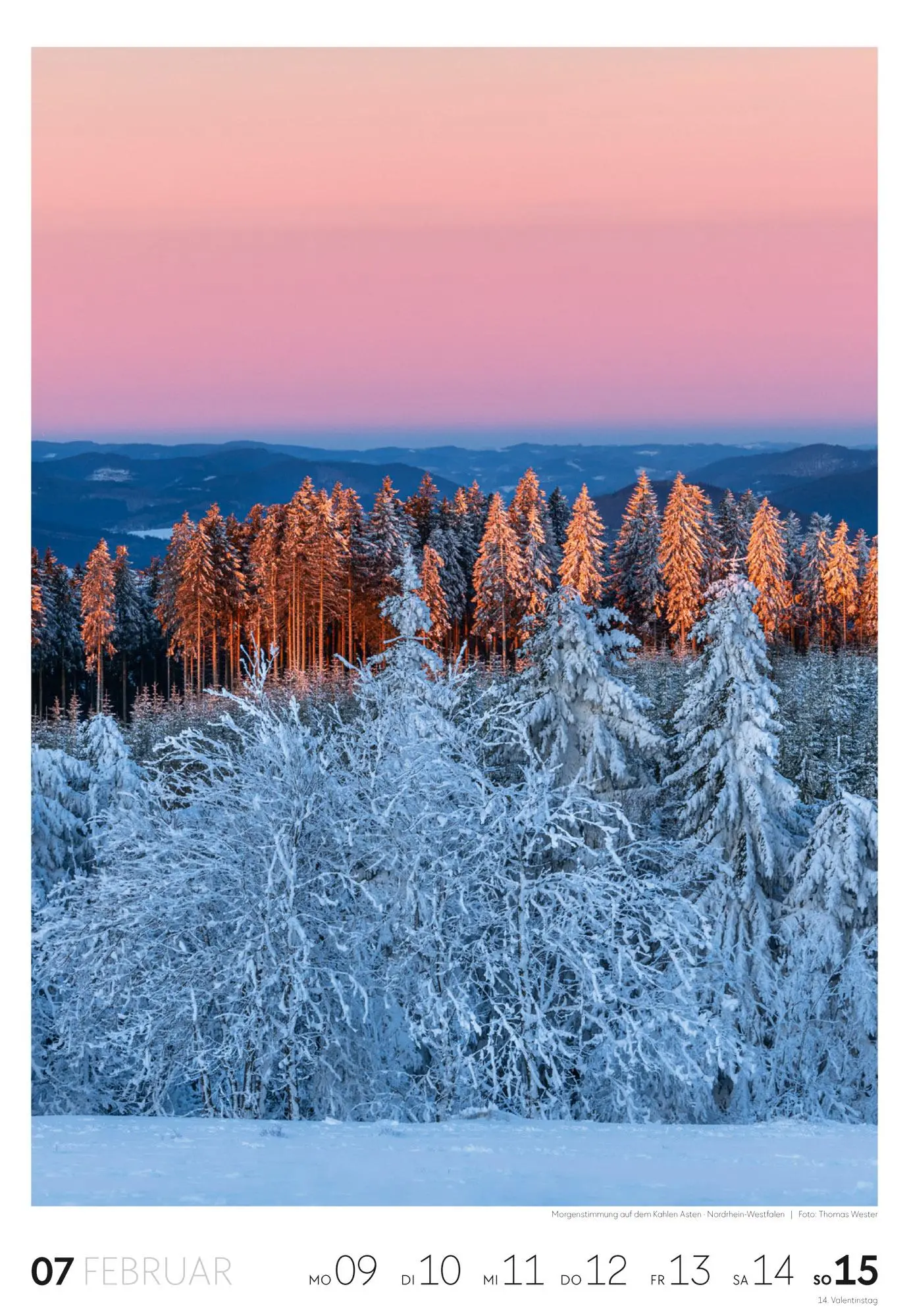 Bild: 9783838436456 | Natur Wochenkalender 2026 | Ackermann Kunstverlag GmbH | Kalender