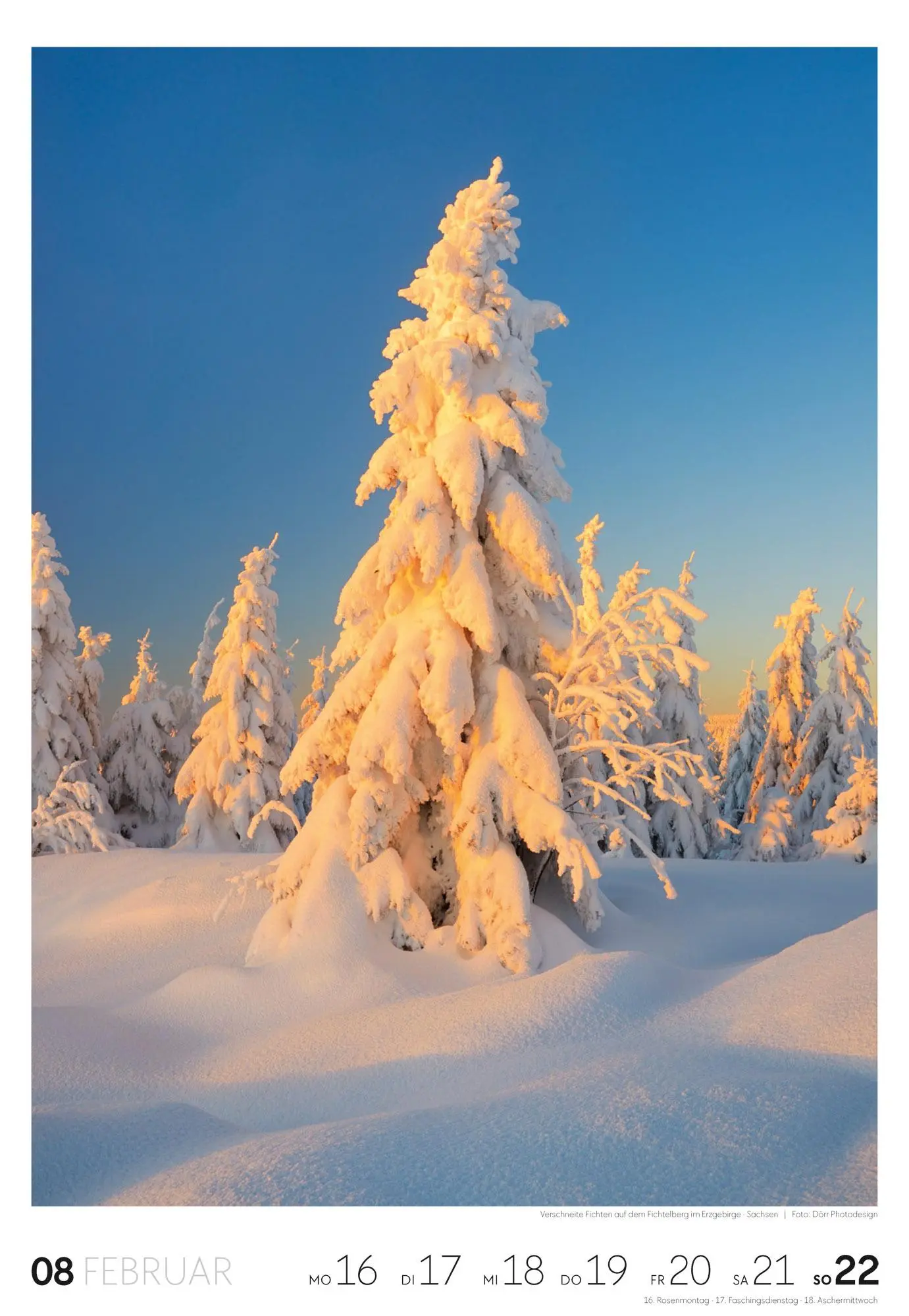 Bild: 9783838436456 | Natur Wochenkalender 2026 | Ackermann Kunstverlag GmbH | Kalender