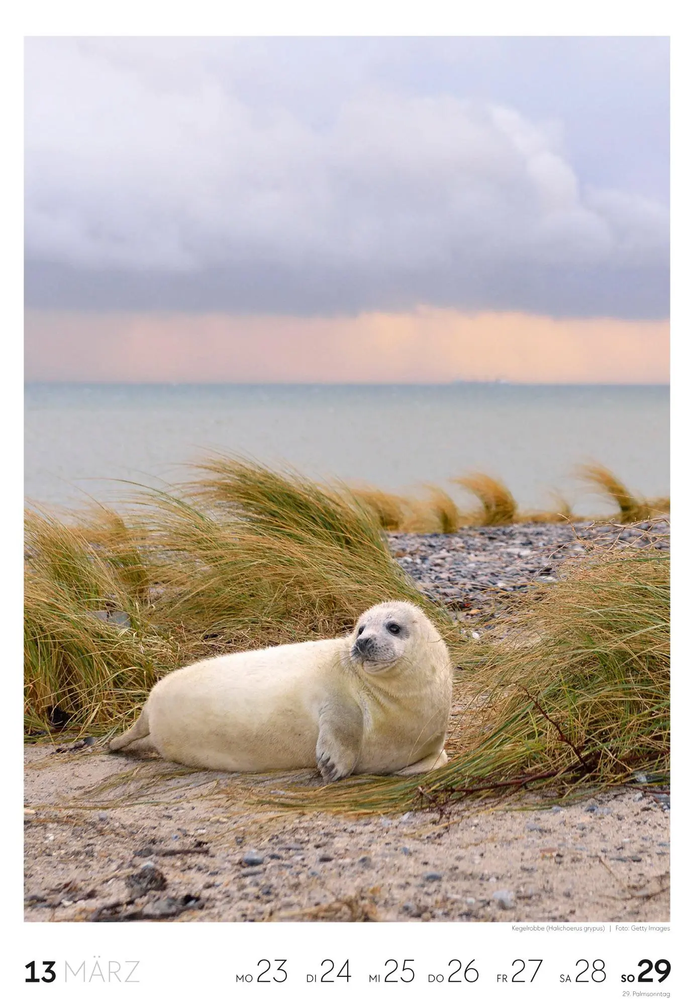Bild: 9783838436456 | Natur Wochenkalender 2026 | Ackermann Kunstverlag GmbH | Kalender