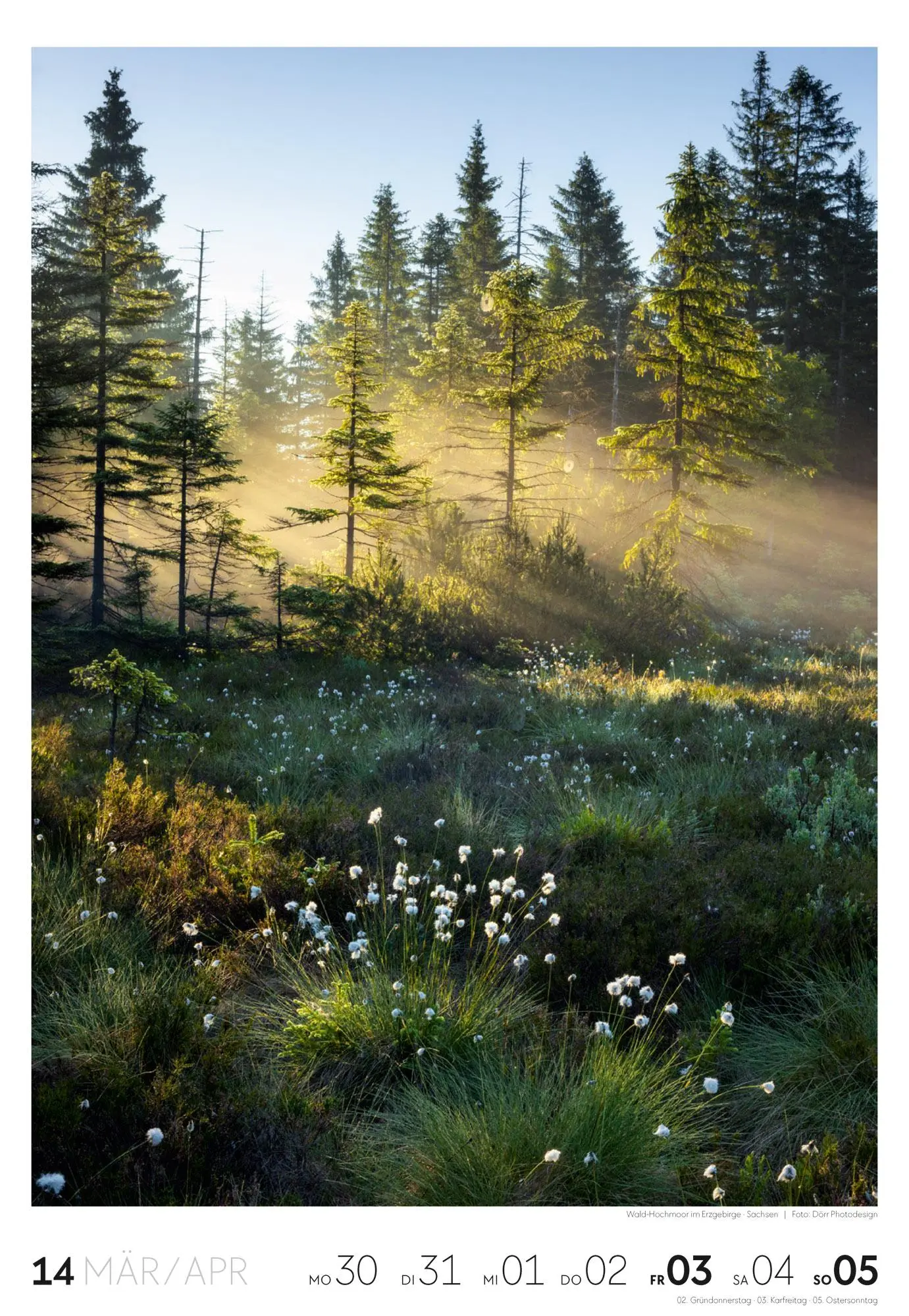 Bild: 9783838436456 | Natur Wochenkalender 2026 | Ackermann Kunstverlag GmbH | Kalender