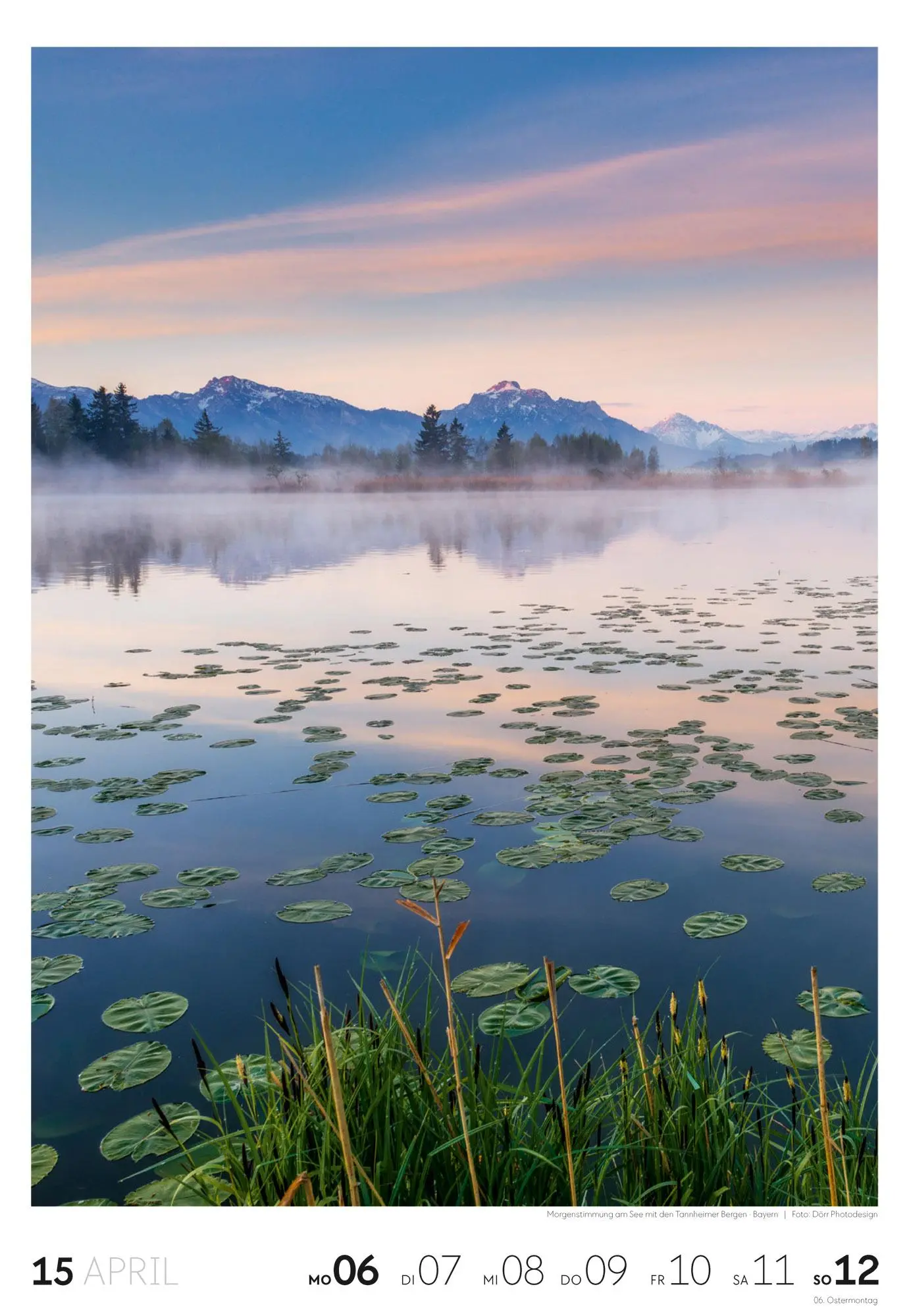 Bild: 9783838436456 | Natur Wochenkalender 2026 | Ackermann Kunstverlag GmbH | Kalender