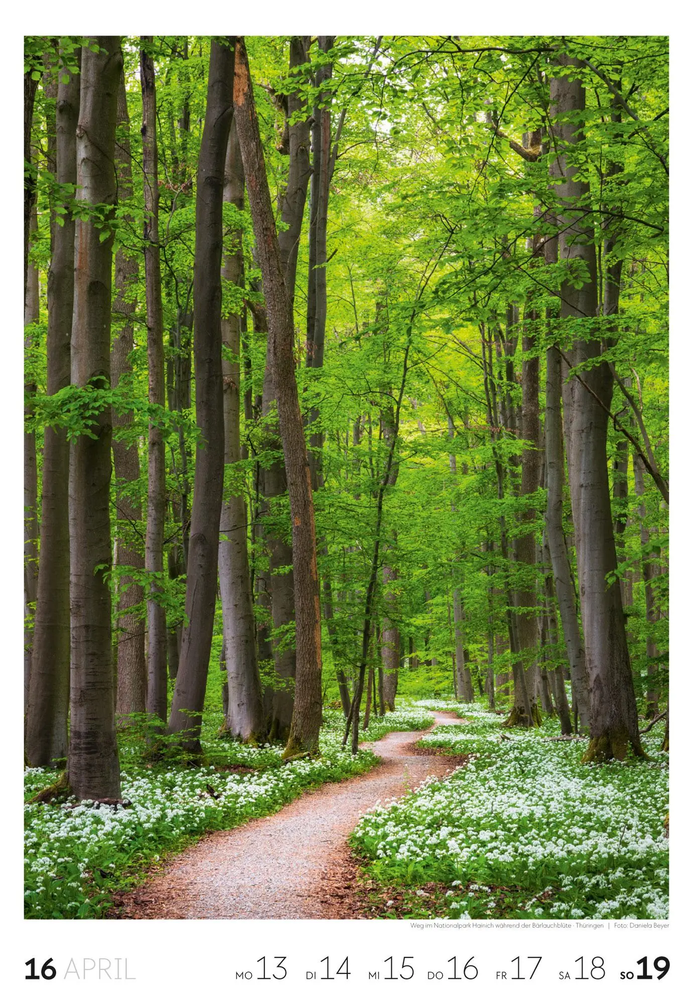 Bild: 9783838436456 | Natur Wochenkalender 2026 | Ackermann Kunstverlag GmbH | Kalender
