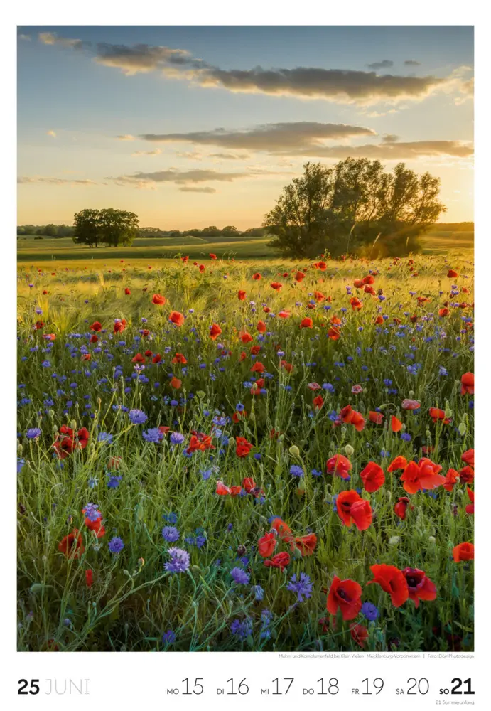 Bild: 9783838436456 | Natur Wochenkalender 2026 | Ackermann Kunstverlag GmbH | Kalender