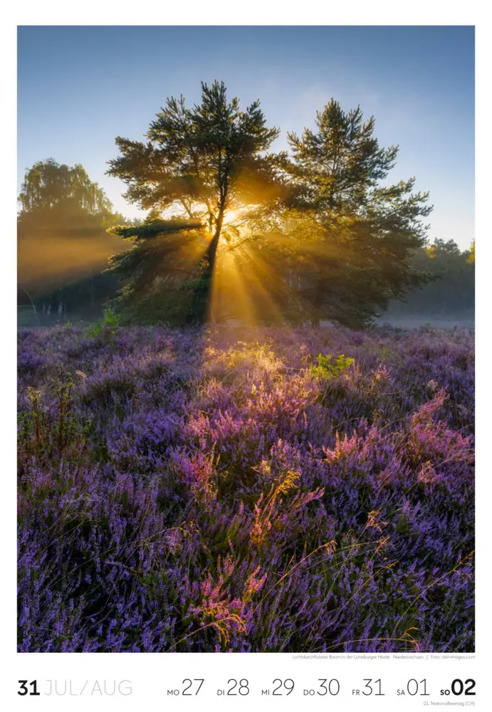 Bild: 9783838436456 | Natur Wochenkalender 2026 | Ackermann Kunstverlag GmbH | Kalender