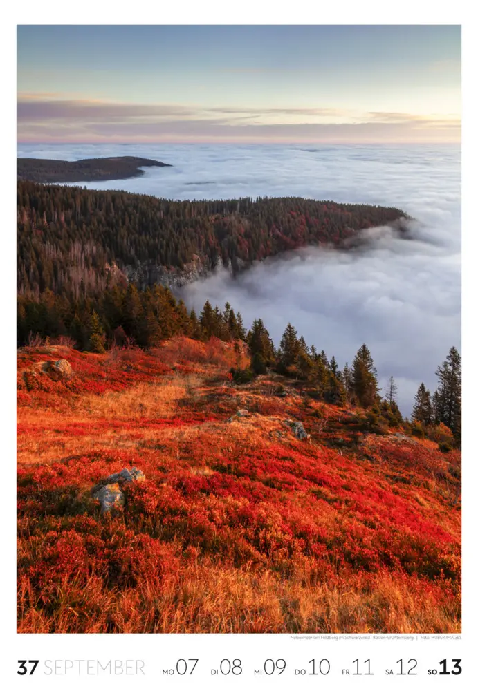 Bild: 9783838436456 | Natur Wochenkalender 2026 | Ackermann Kunstverlag GmbH | Kalender