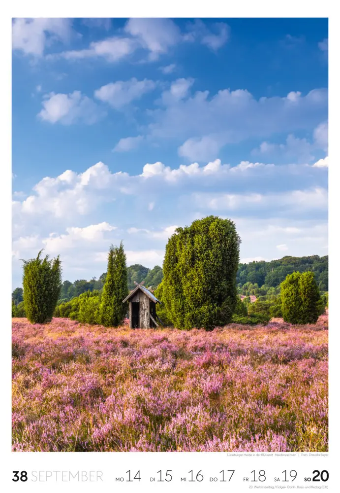 Bild: 9783838436456 | Natur Wochenkalender 2026 | Ackermann Kunstverlag GmbH | Kalender