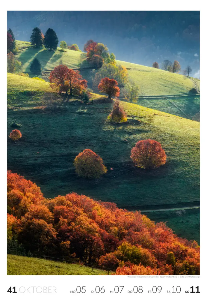 Bild: 9783838436456 | Natur Wochenkalender 2026 | Ackermann Kunstverlag GmbH | Kalender