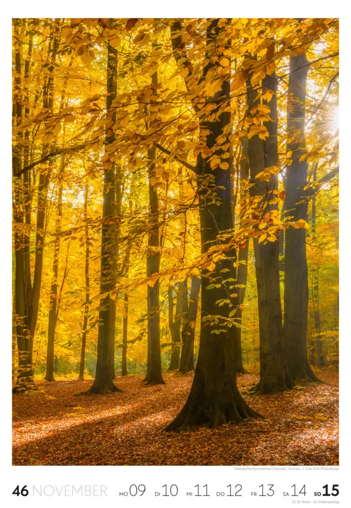 Bild: 9783838436456 | Natur Wochenkalender 2026 | Ackermann Kunstverlag GmbH | Kalender