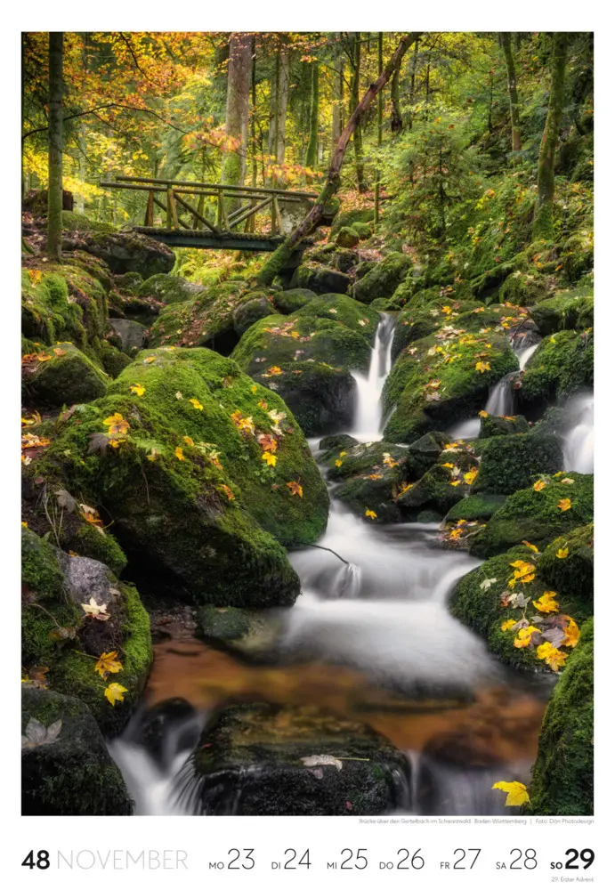 Bild: 9783838436456 | Natur Wochenkalender 2026 | Ackermann Kunstverlag GmbH | Kalender