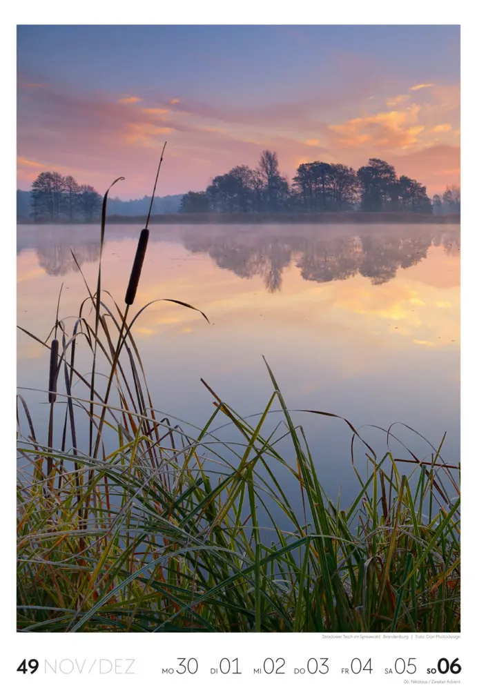 Bild: 9783838436456 | Natur Wochenkalender 2026 | Ackermann Kunstverlag GmbH | Kalender
