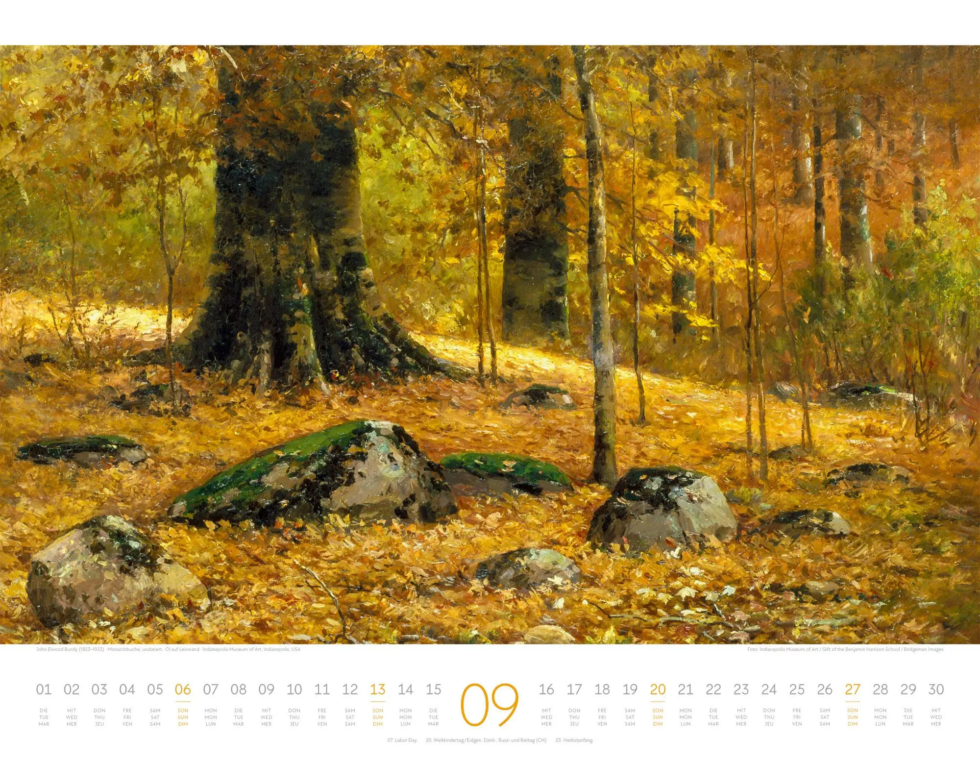 Bild: 9783838426556 | Kunstwerk Wald Kalender 2026 | Ackermann Kunstverlag GmbH | Kalender