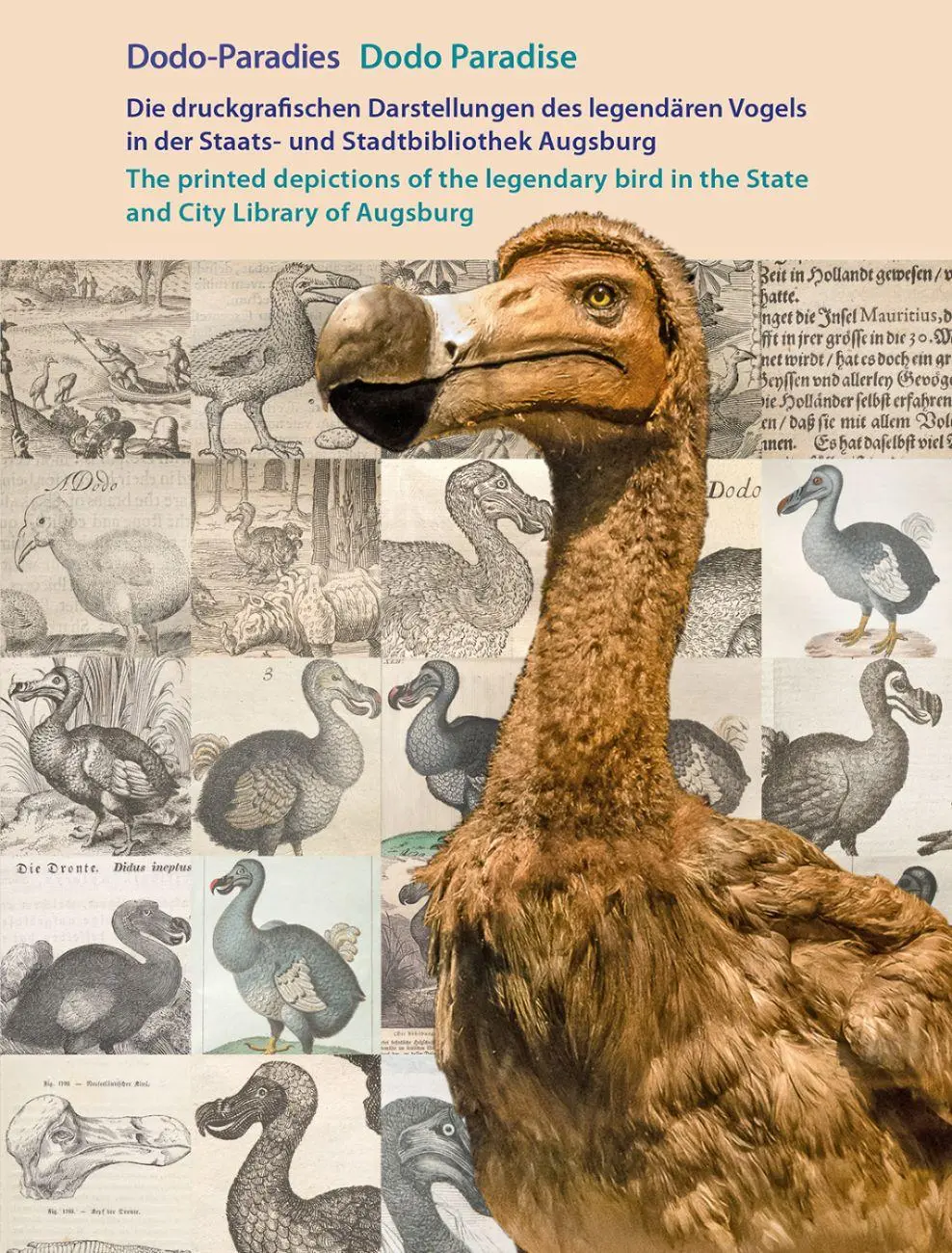 Cover: 9783874376556 | Dodo-Paradies | Karl-Georg Pfändtner | Taschenbuch | 144 S. | Deutsch