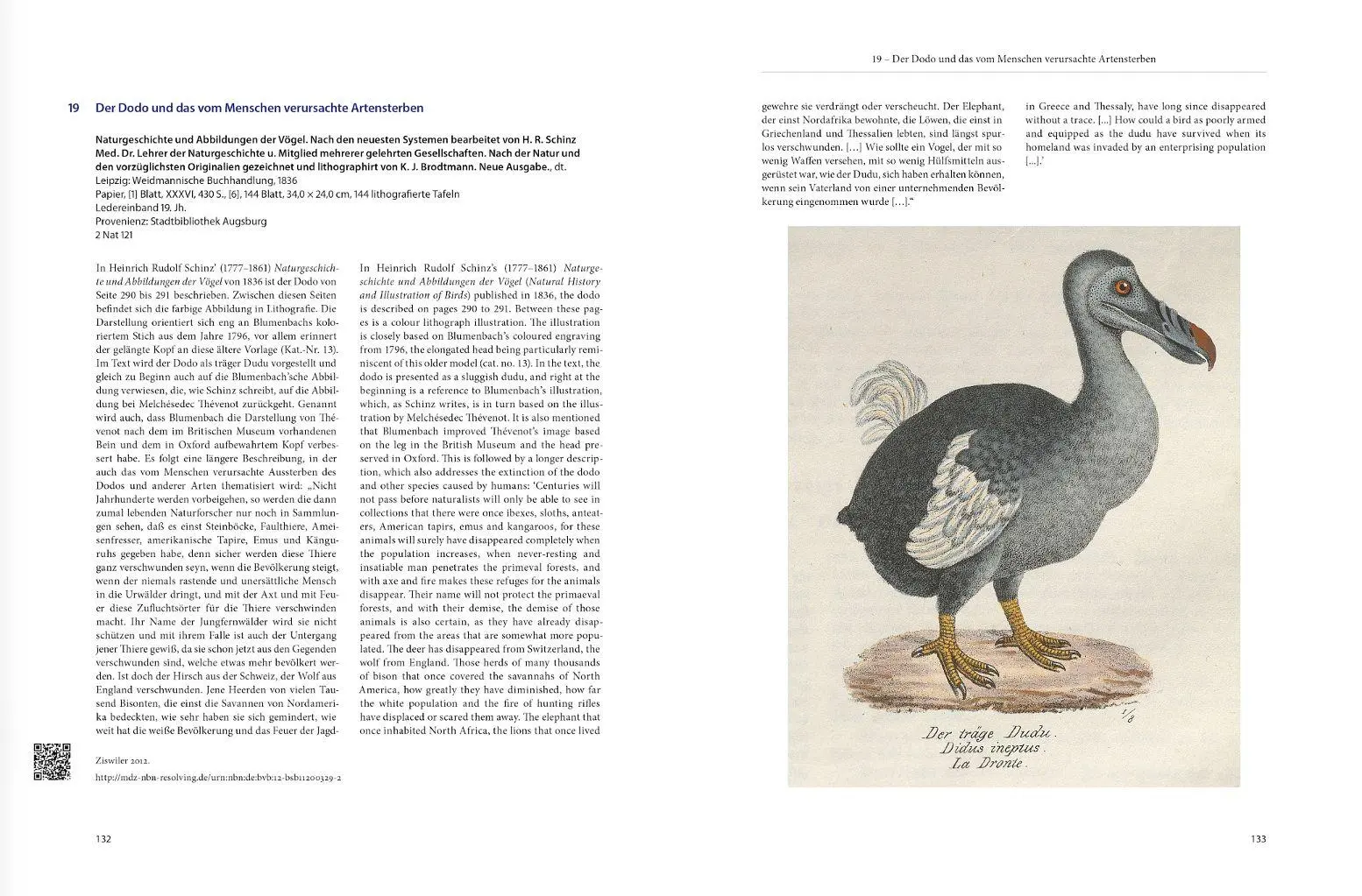 Bild: 9783874376556 | Dodo-Paradies | Karl-Georg Pfändtner | Taschenbuch | 144 S. | Deutsch