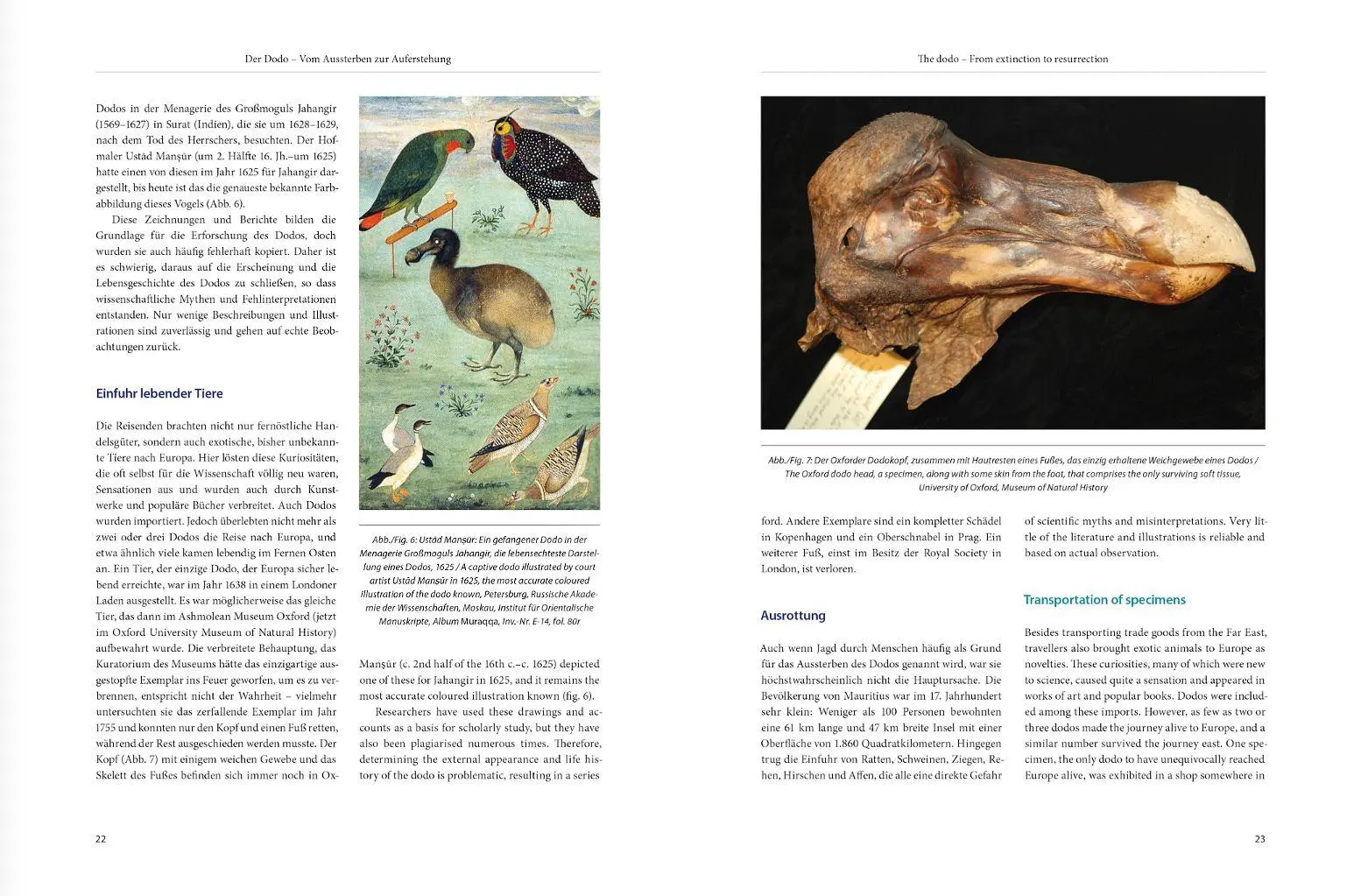 Bild: 9783874376556 | Dodo-Paradies | Karl-Georg Pfändtner | Taschenbuch | 144 S. | Deutsch