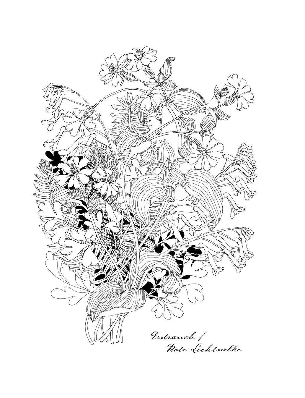 Bild: 9783747406656 | Wunderbare Blütenwelt | Leila Duly (u. a.) | Buch | 104 S. | Deutsch