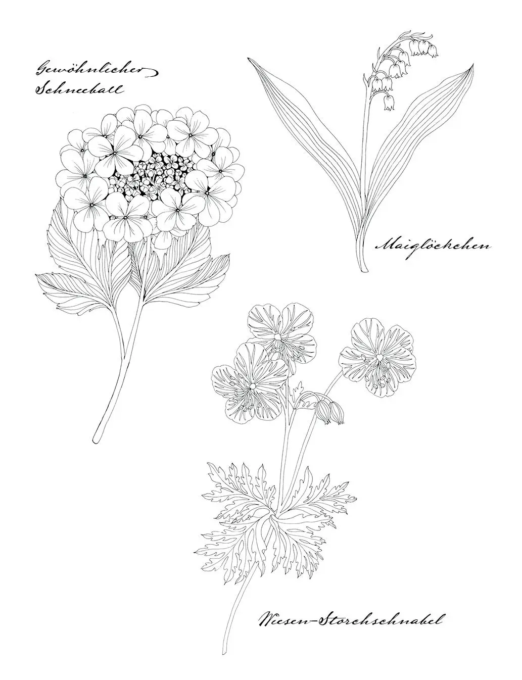 Bild: 9783747406656 | Wunderbare Blütenwelt | Leila Duly (u. a.) | Buch | 104 S. | Deutsch