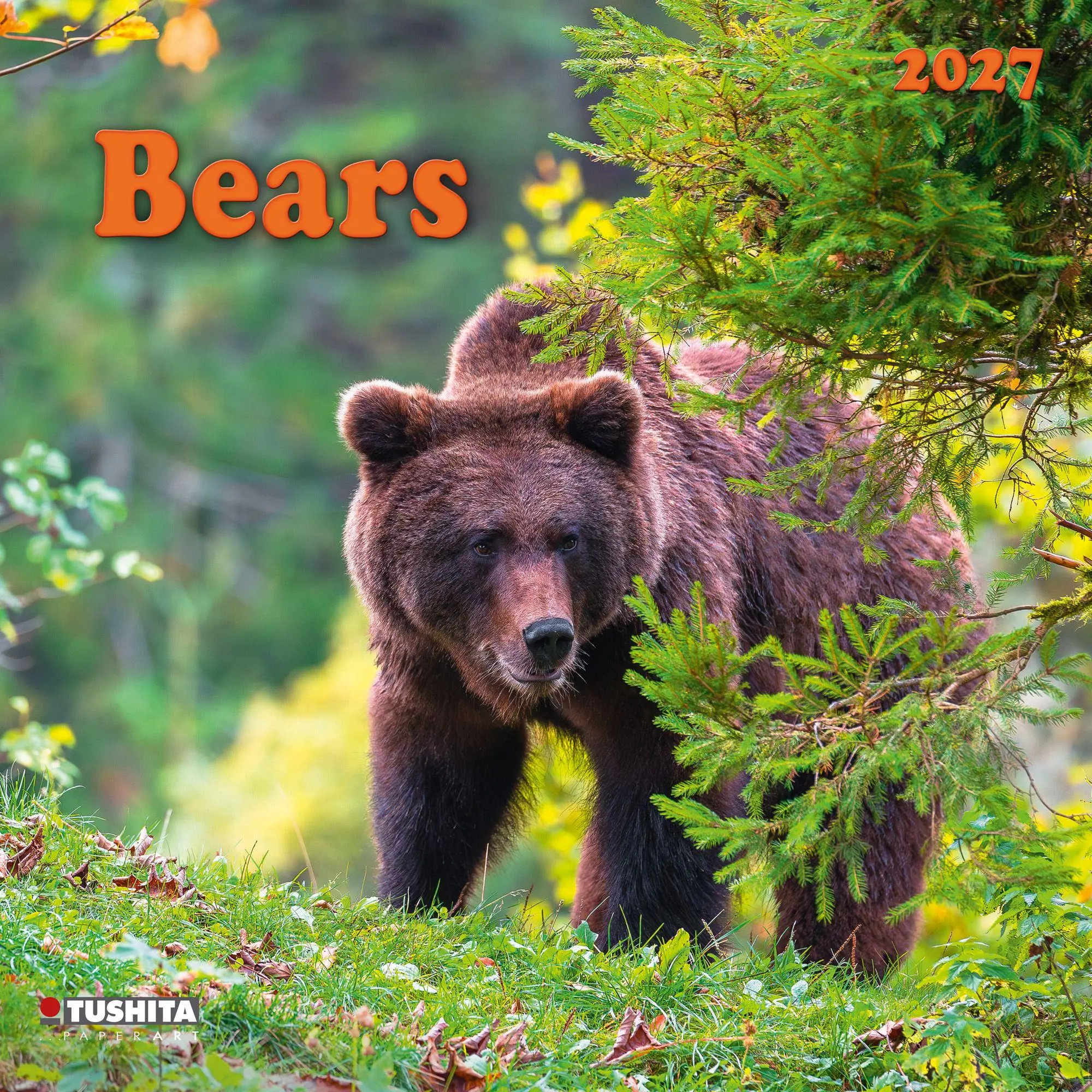 Cover: 9783959296656 | Bears 2027 | Kalender 2027 | Kalender | 28 S. | Englisch | 2027