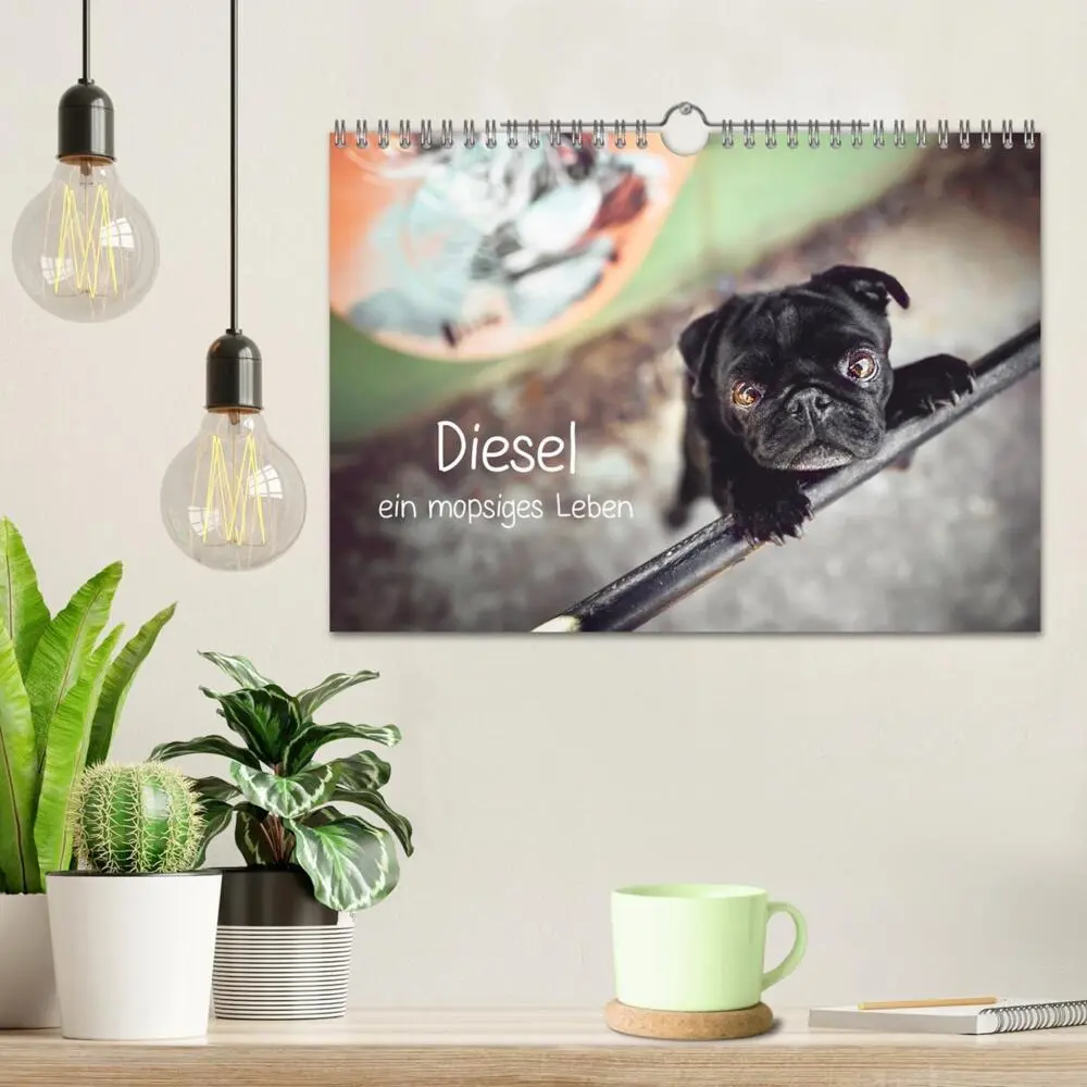 Bild: 9783457706756 | Diesel - ein mopsiges Leben (Wandkalender 2026 DIN A4 quer),...