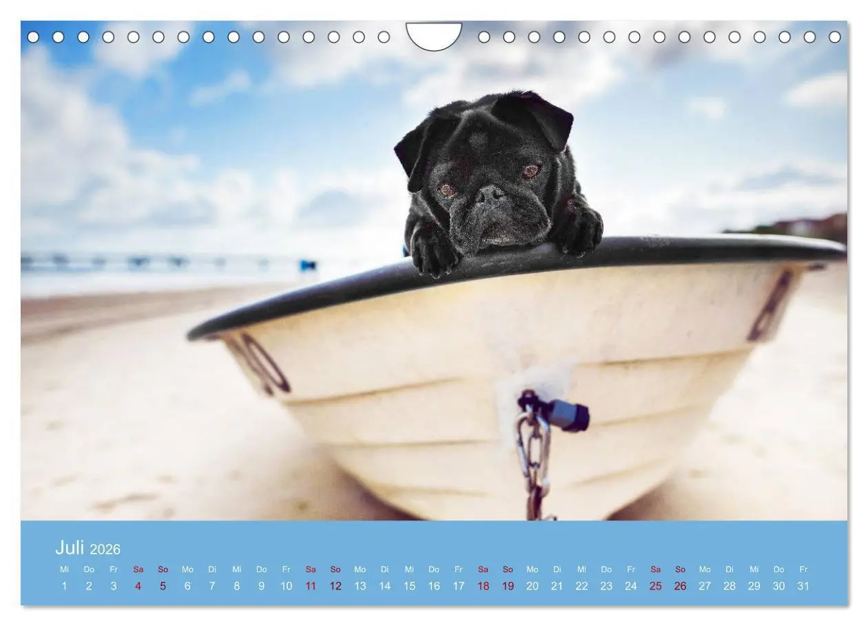 Bild: 9783457706756 | Diesel - ein mopsiges Leben (Wandkalender 2026 DIN A4 quer),...