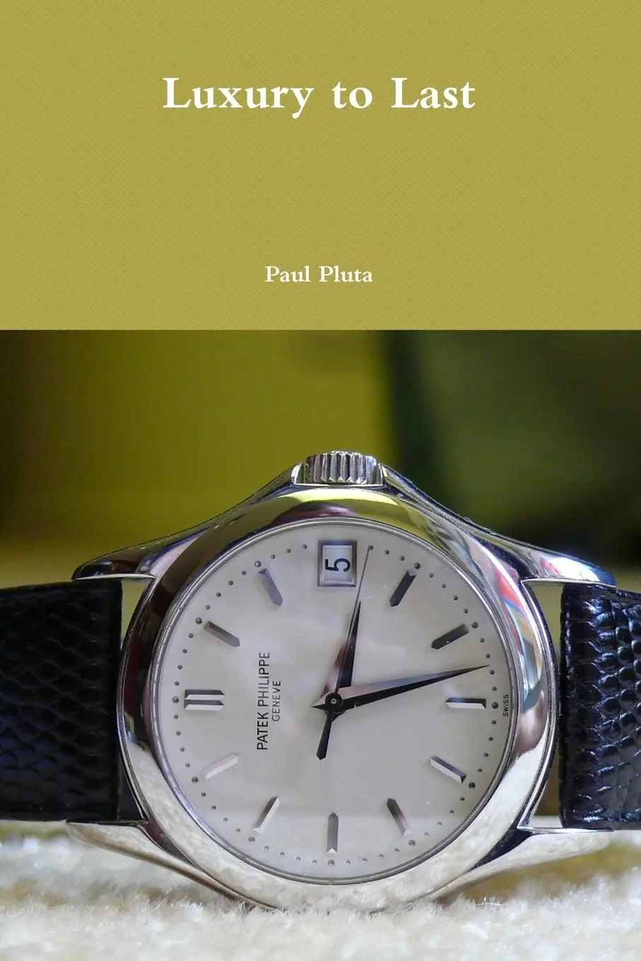 Cover: 9781446176856 | Luxury to Last | Paul Pluta | Taschenbuch | Englisch | 2010 | Lulu.com